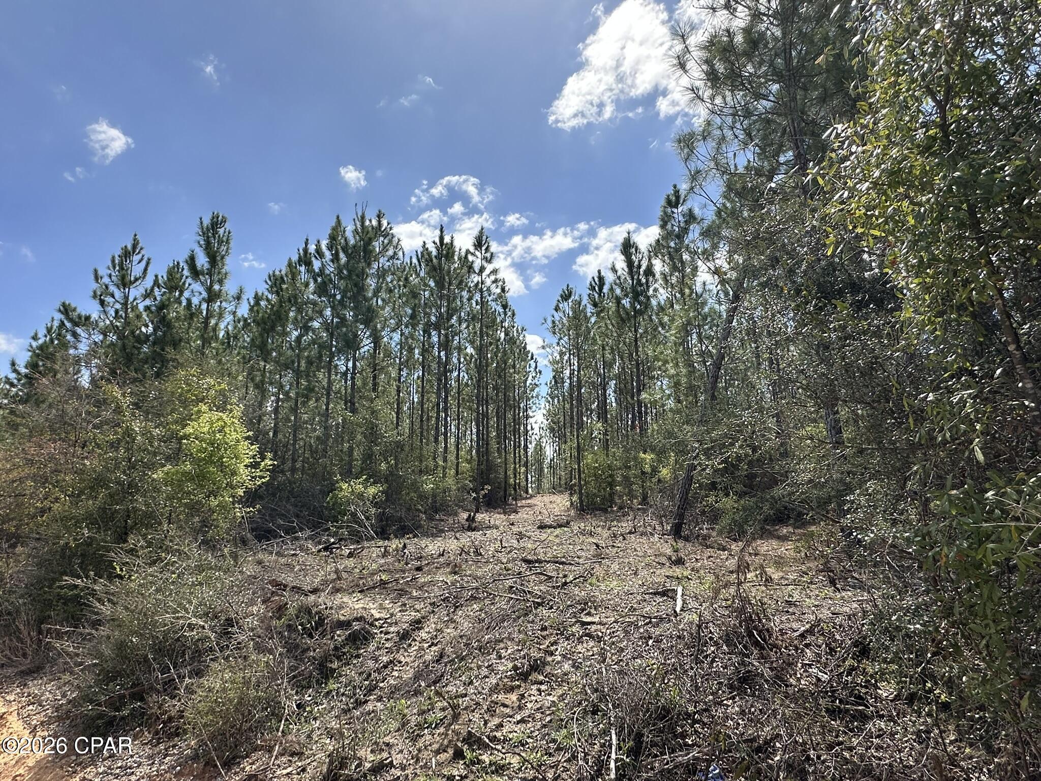 TRACT#6418 Mattox Springs Road Caryville FL 32427