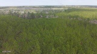 TRACT#6418 Mattox Springs Road Caryville FL 32427