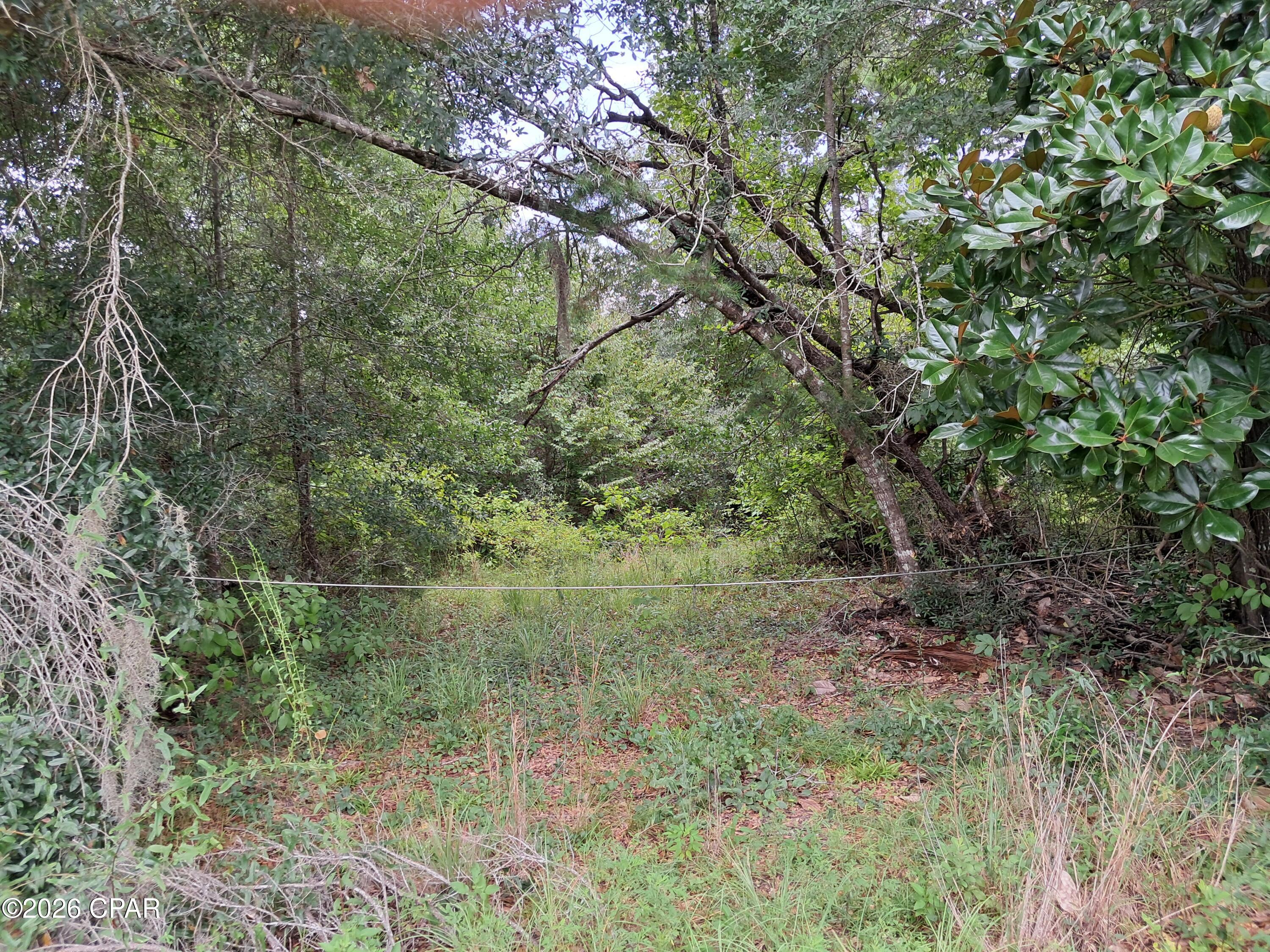 0000 Rooks Drive Marianna FL 32446