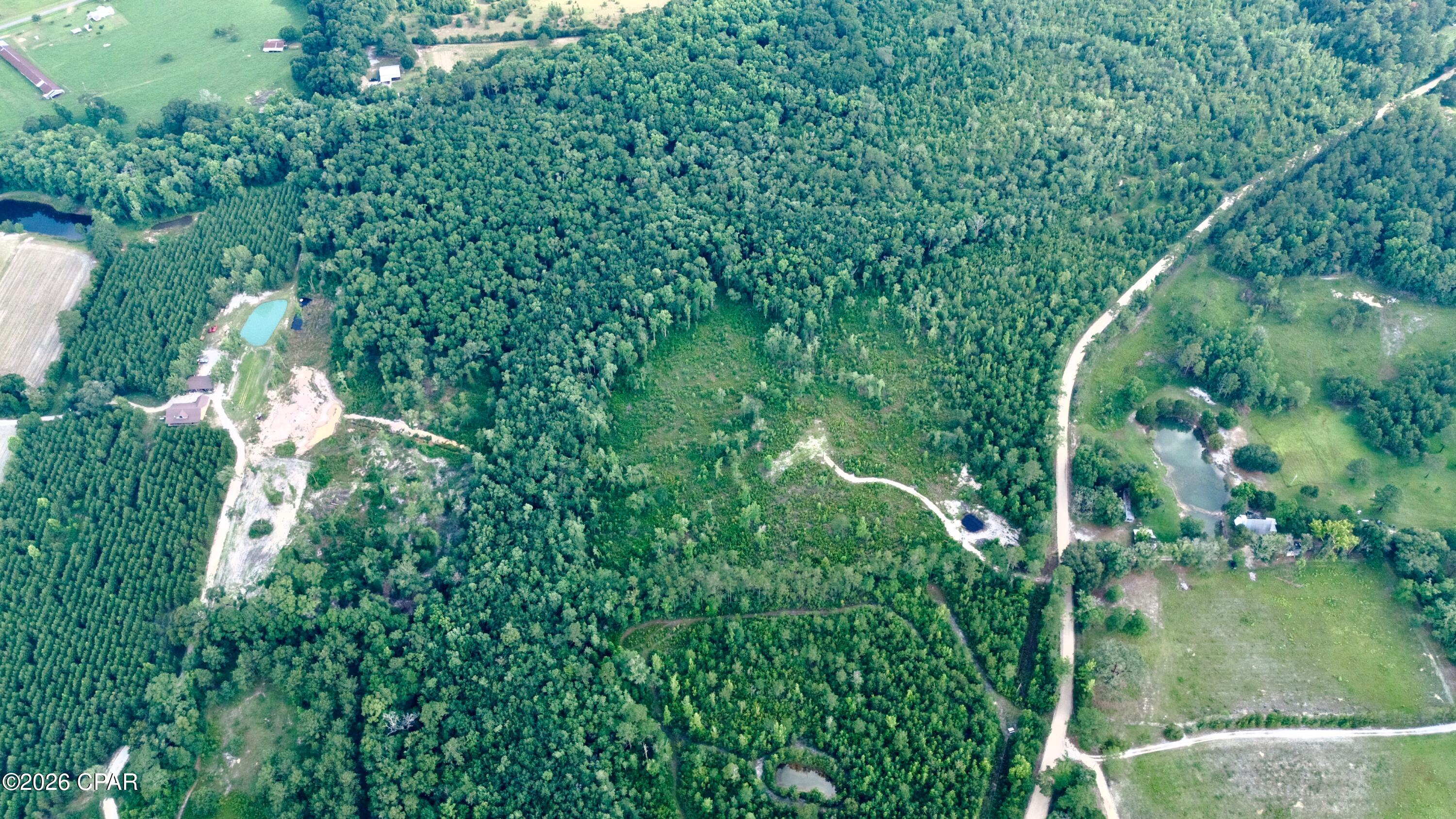 20 Acres Curry Ferry Road Bonifay FL 32425