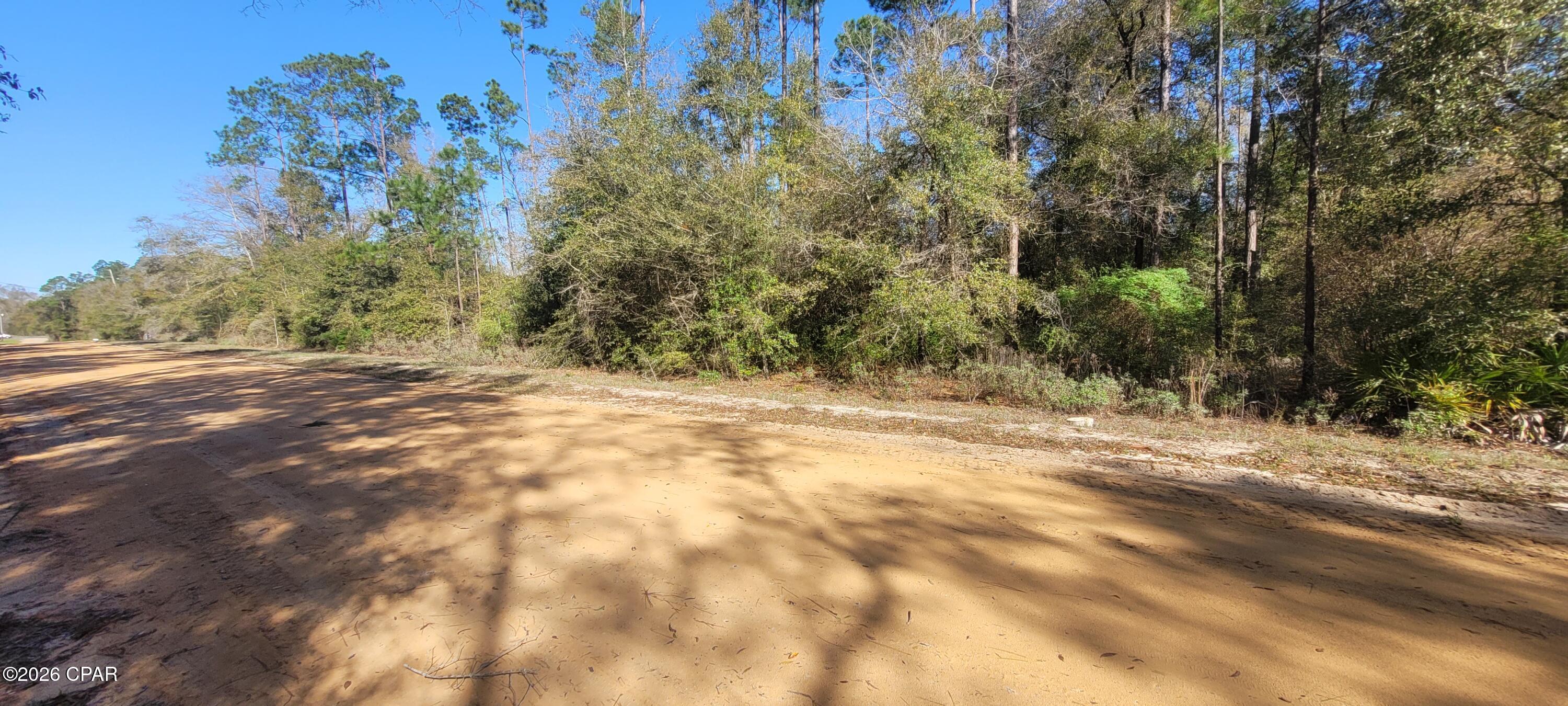 0 Dixie Avenue Fountain FL 32438