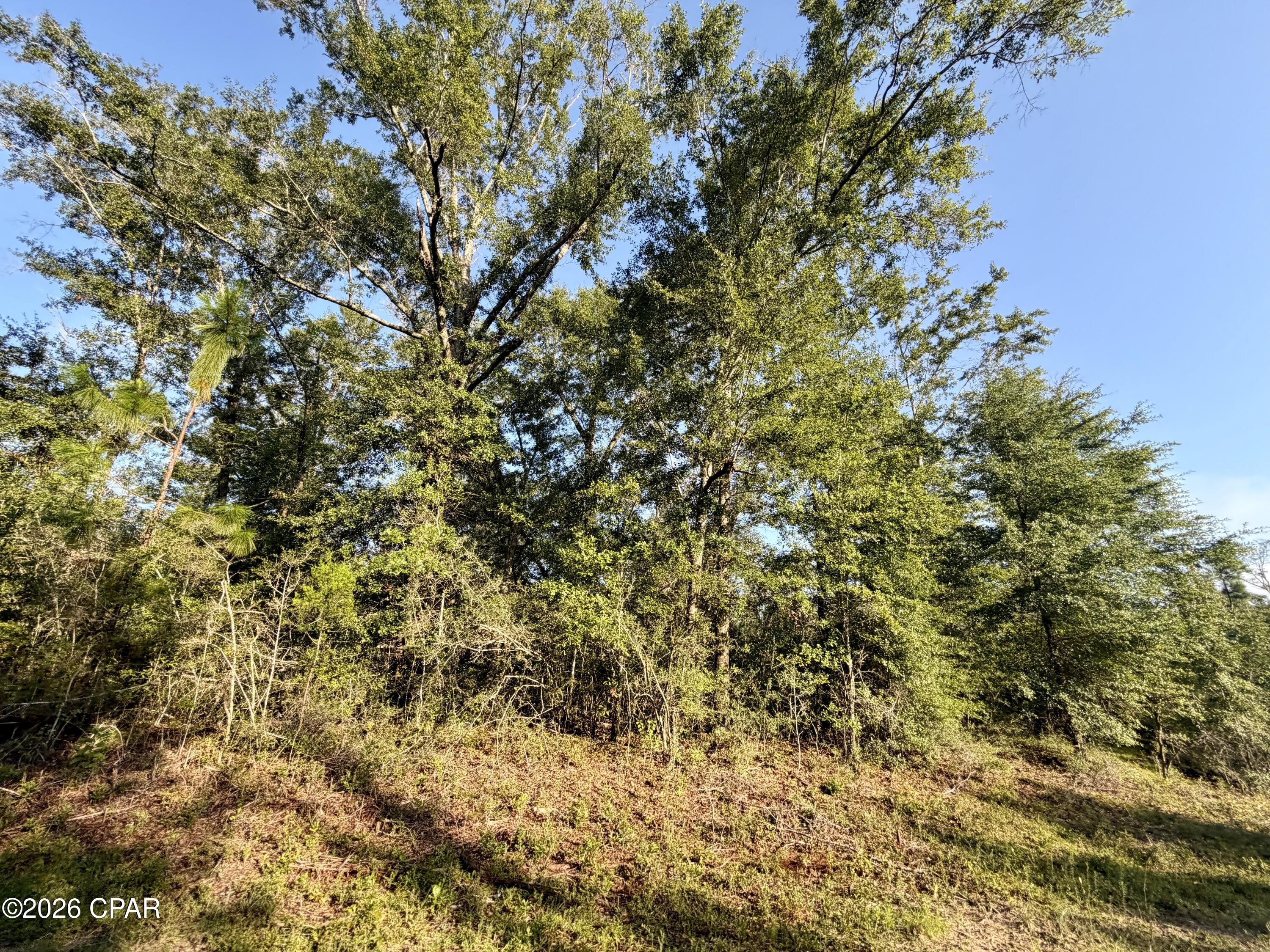Lot 26 Grove Lane Marianna FL 32448
