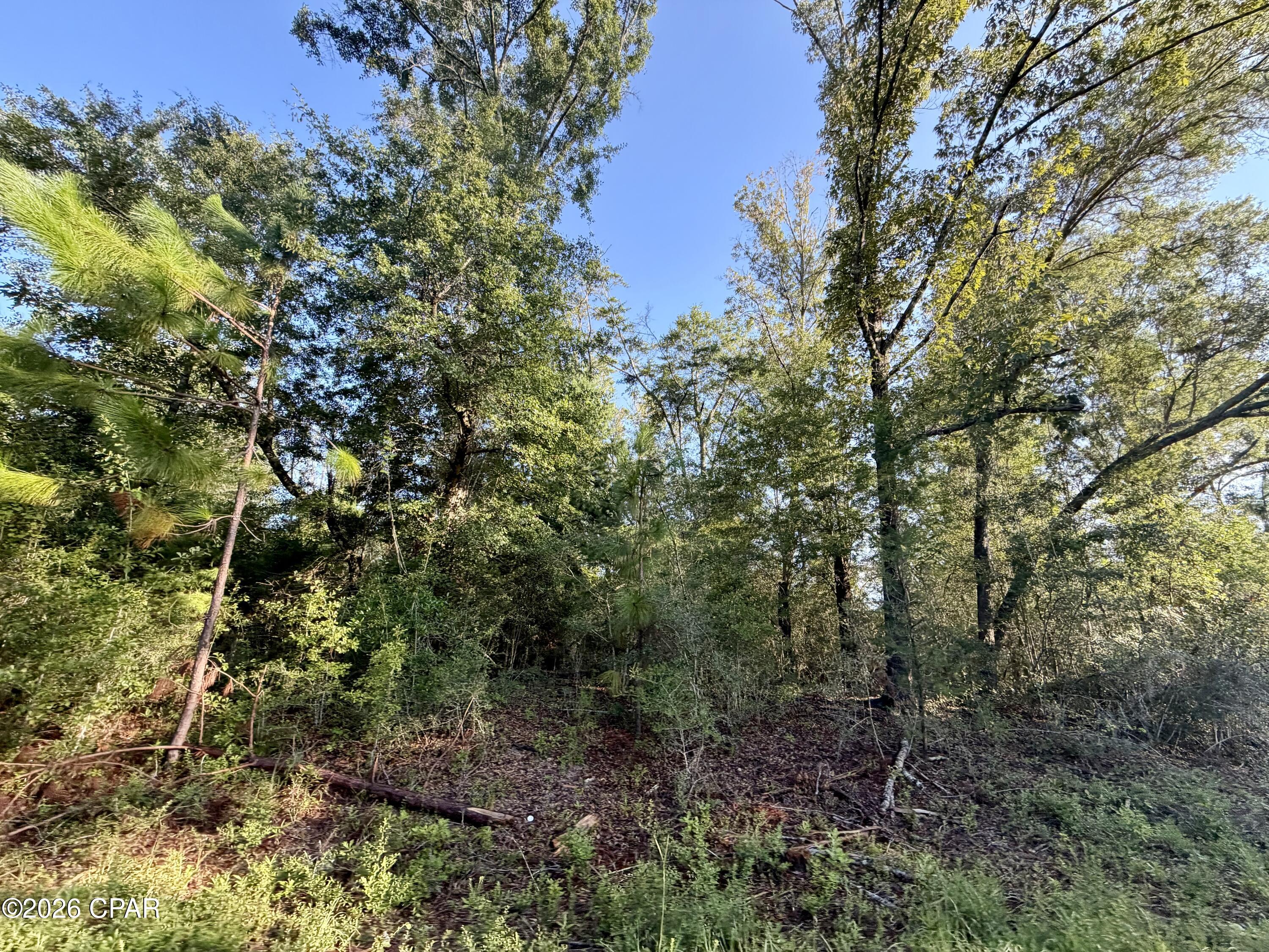 Lot 26 Grove Lane Marianna FL 32448