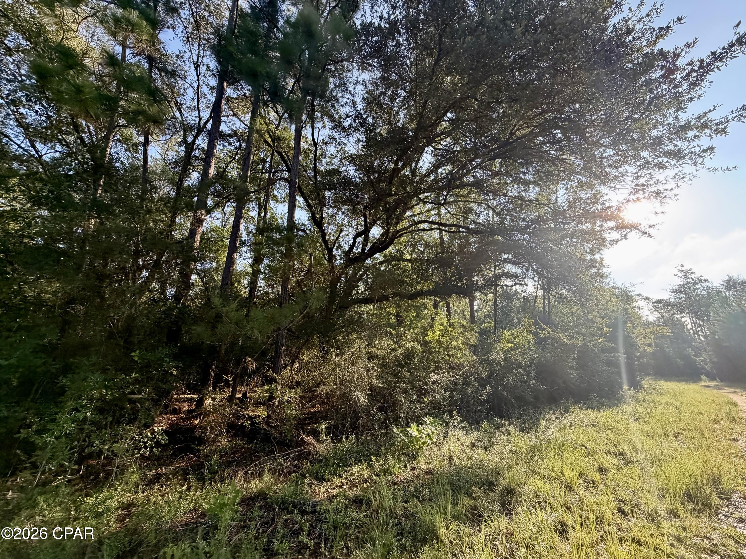 Lot 26 Grove Lane Marianna FL 32448