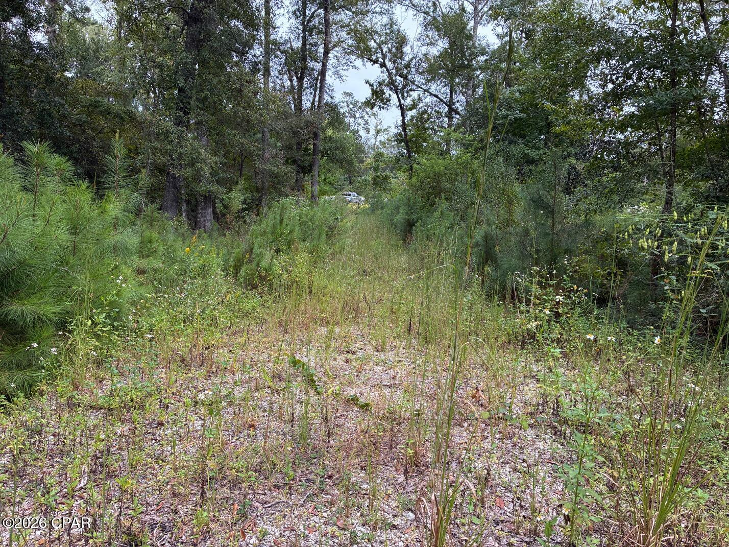3027 Hwy 79 Street Vernon FL 32462