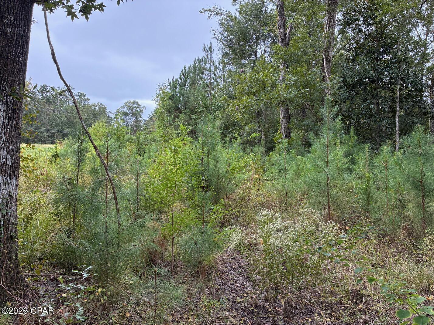 3027 Hwy 79 Street Vernon FL 32462