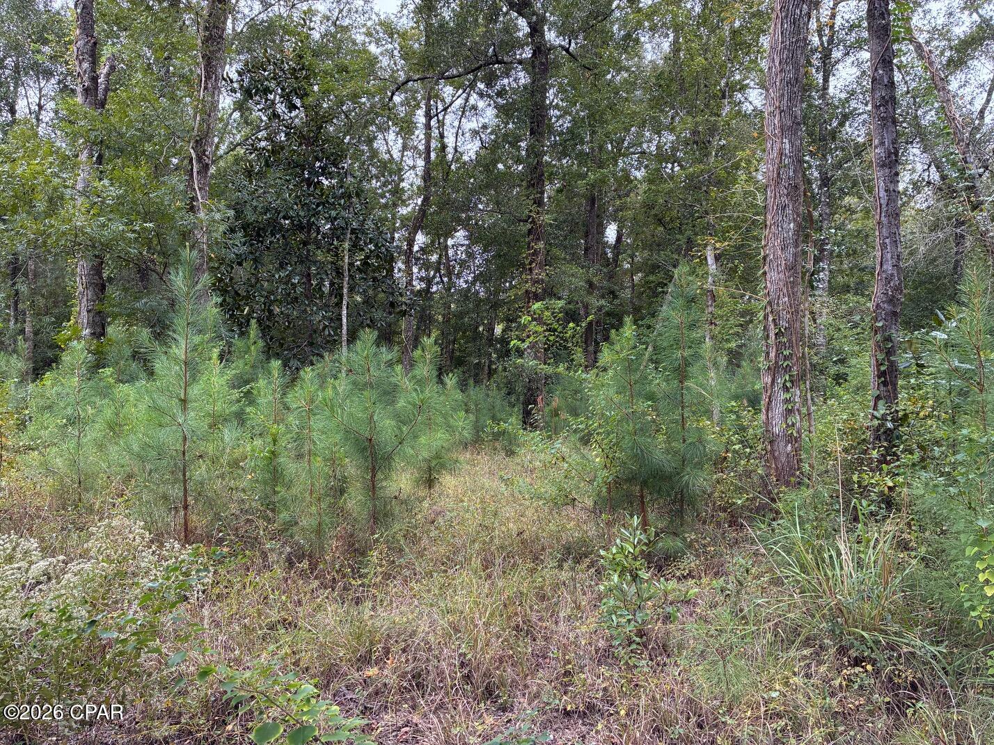 3027 Hwy 79 Street Vernon FL 32462