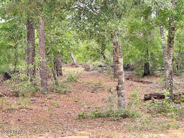 0 E Dixie Drive Marianna FL 32448