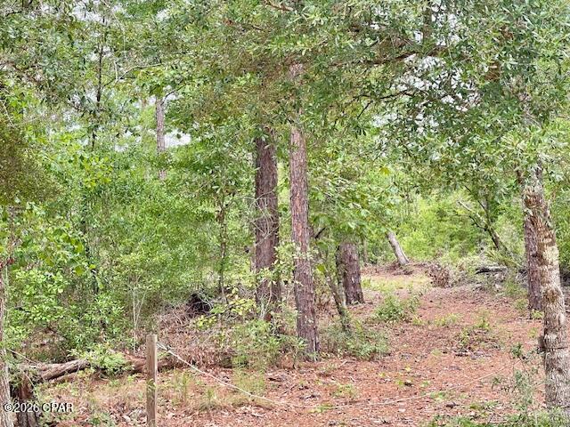 0 E Dixie Drive Marianna FL 32448