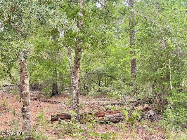 0 E Dixie Drive Marianna FL 32448
