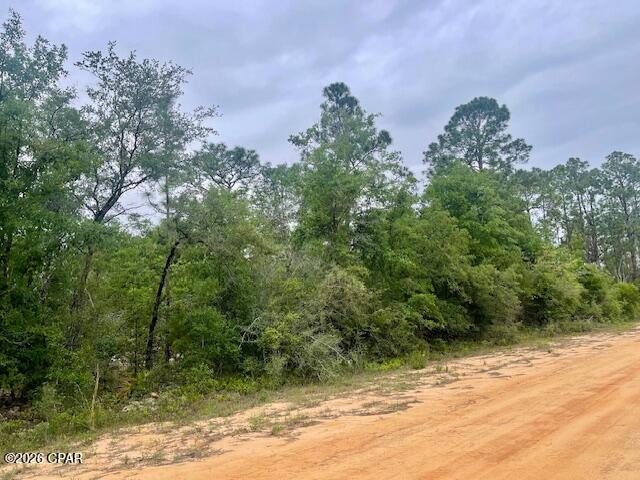 0 E Dixie Drive Marianna FL 32448