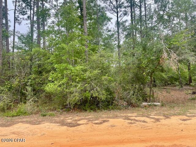0 E Dixie Drive Marianna FL 32448