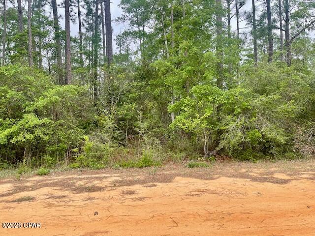 0 E Dixie Drive Marianna FL 32448