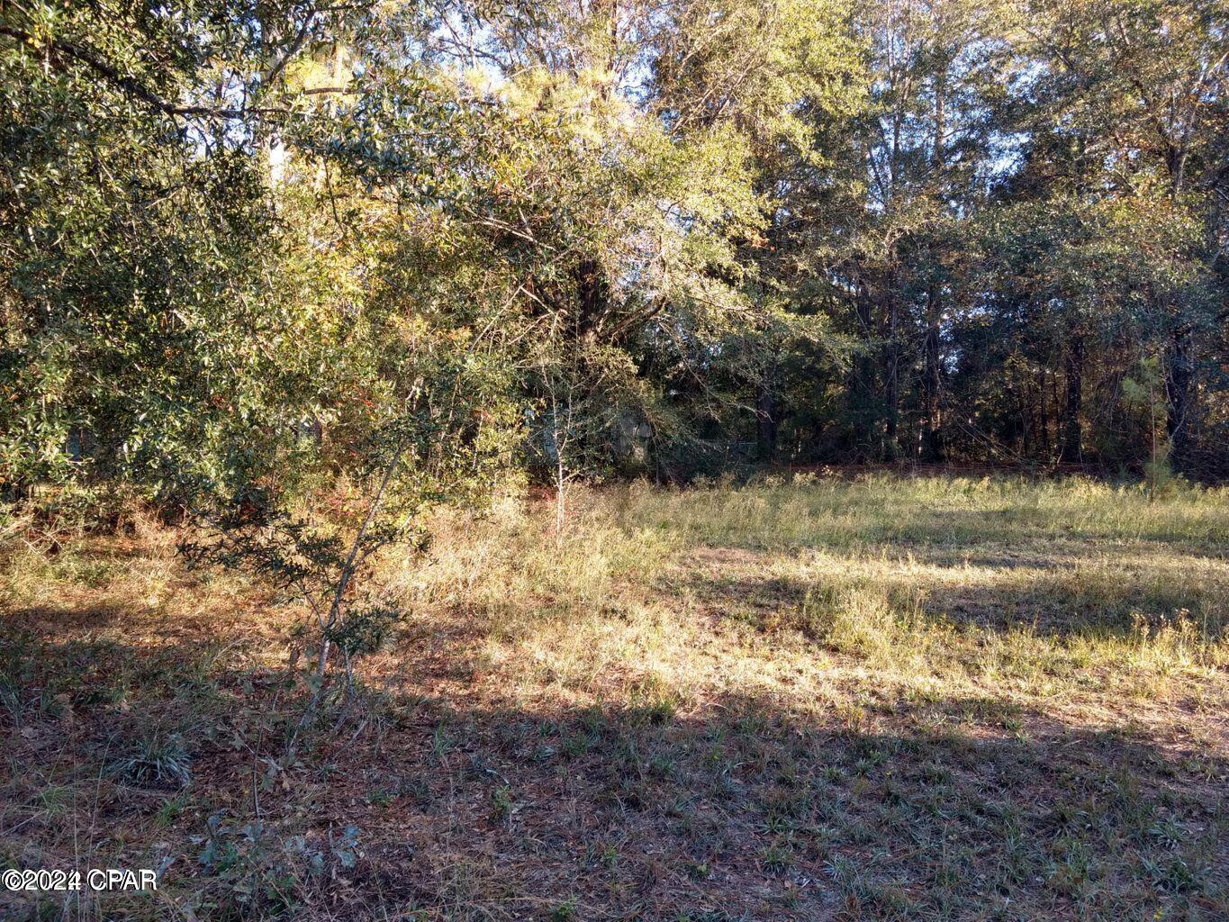 00 Marian Drive Bonifay FL 32425