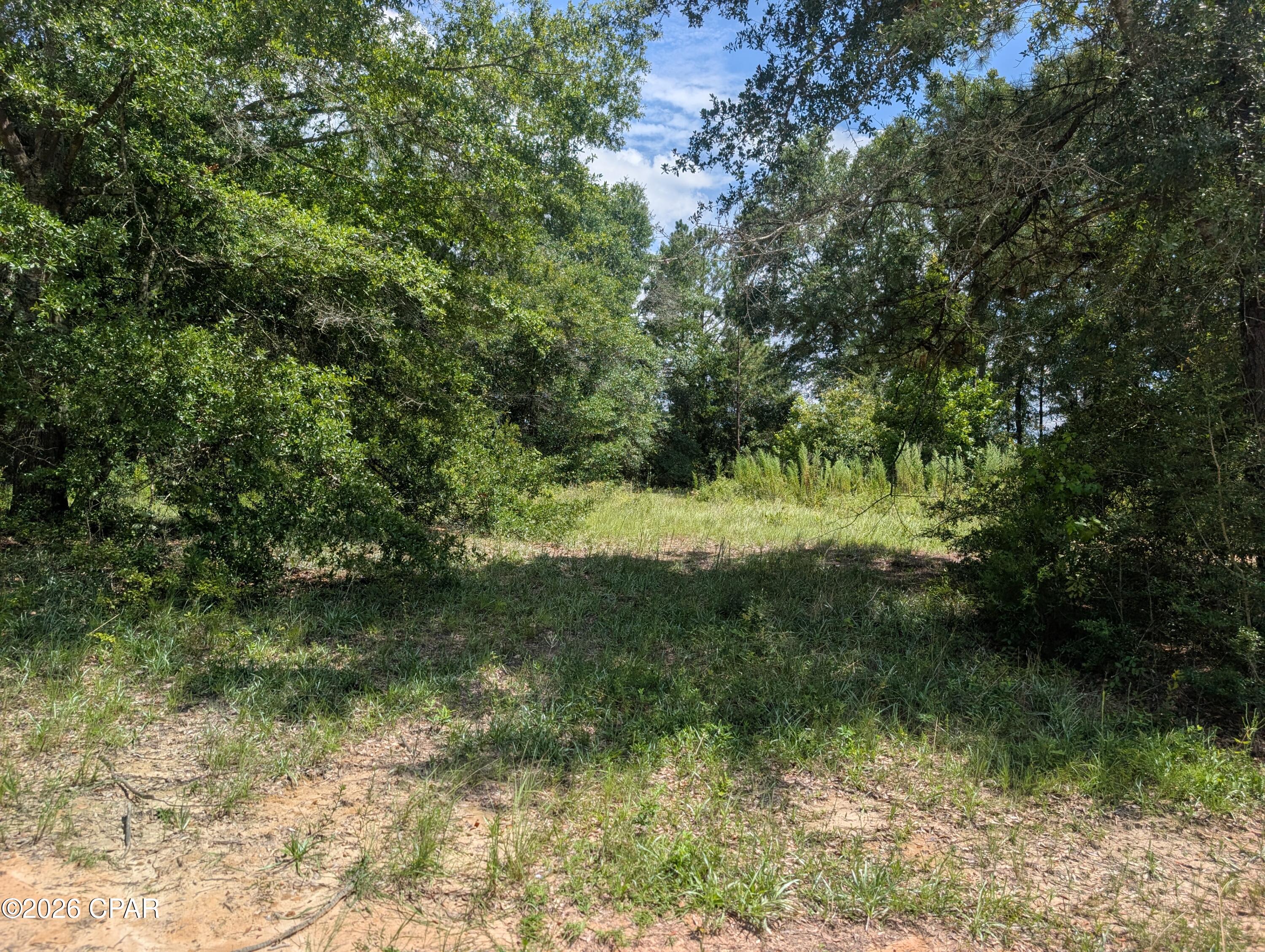 00 Marian Drive Bonifay FL 32425