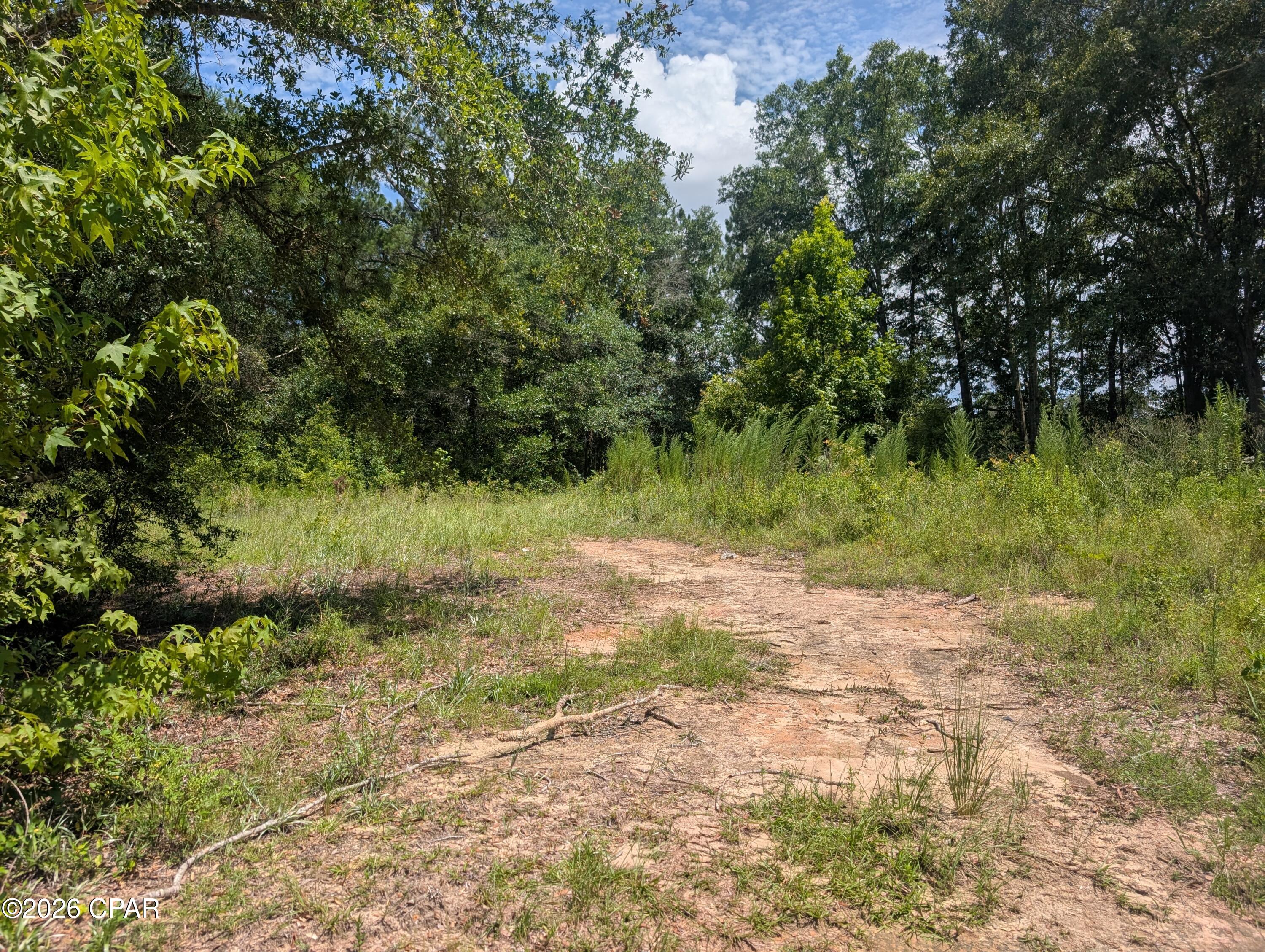 00 Marian Drive Bonifay FL 32425