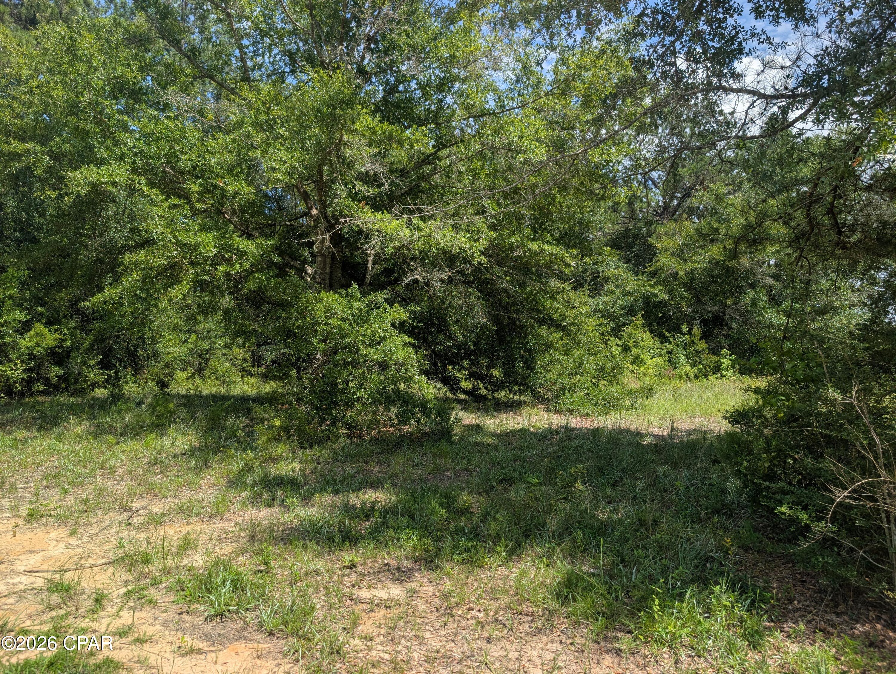 00 Marian Drive Bonifay FL 32425