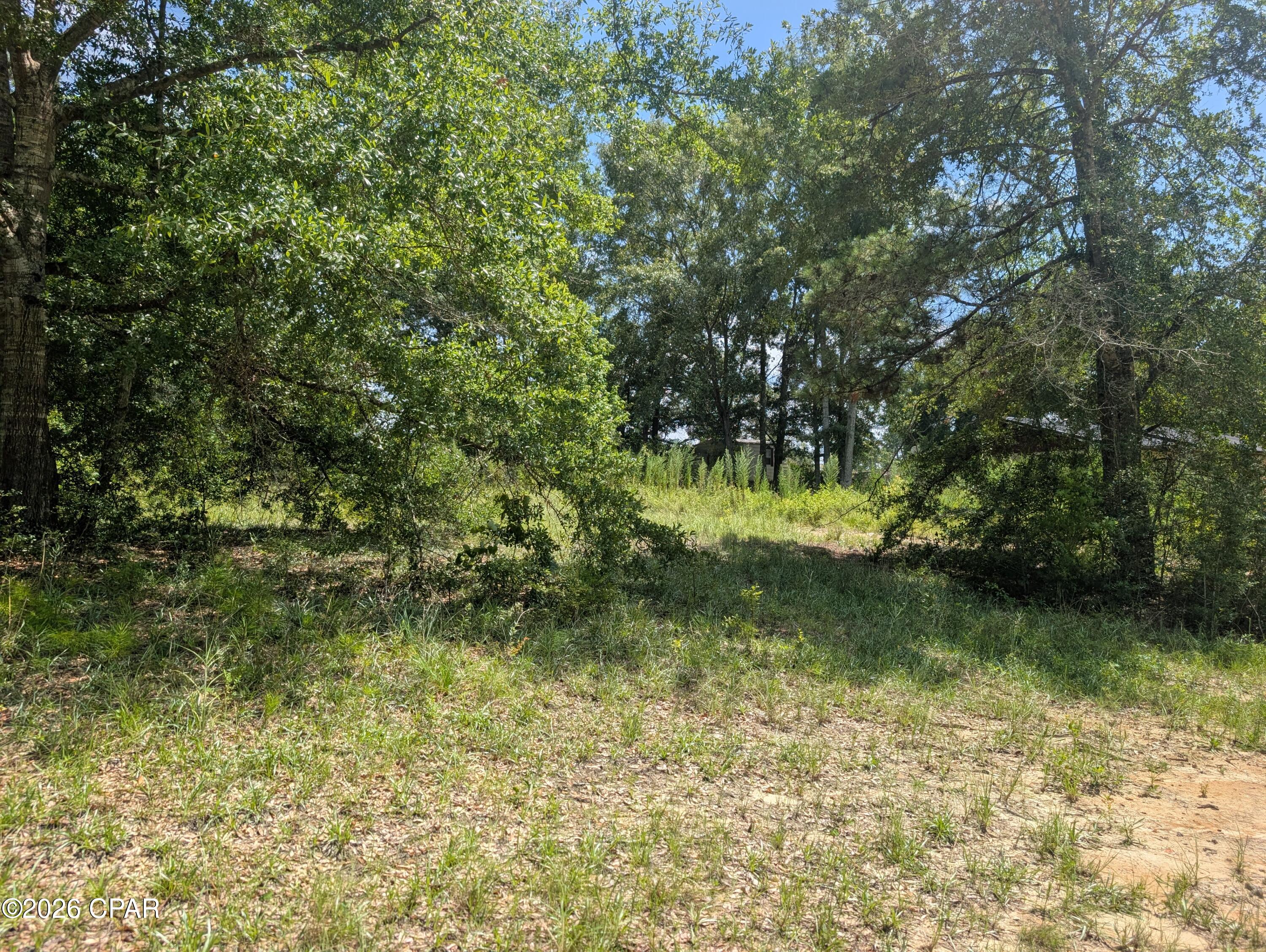 00 Marian Drive Bonifay FL 32425