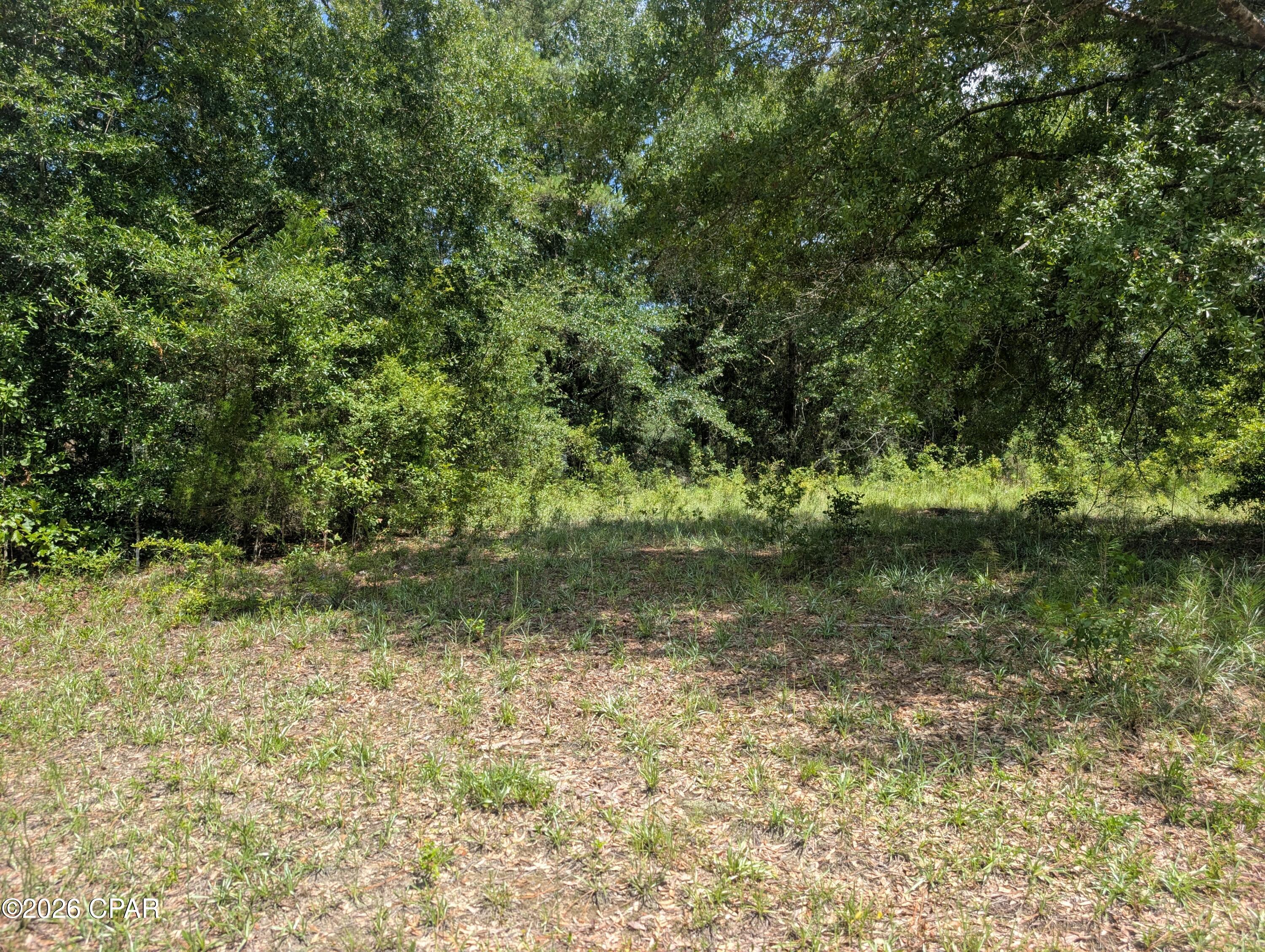 00 Marian Drive Bonifay FL 32425