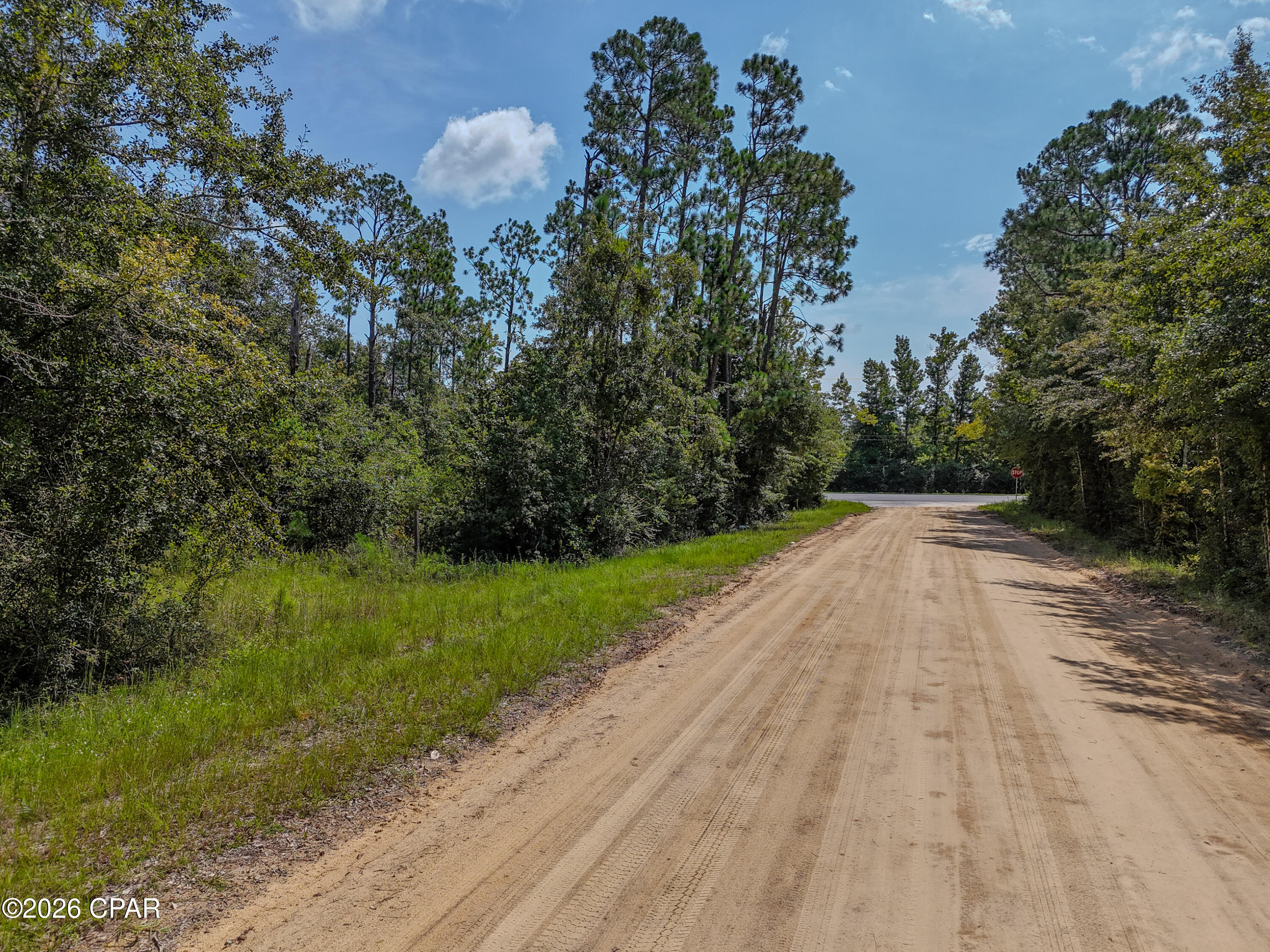 Tbd Highway 231 Fountain FL 32438