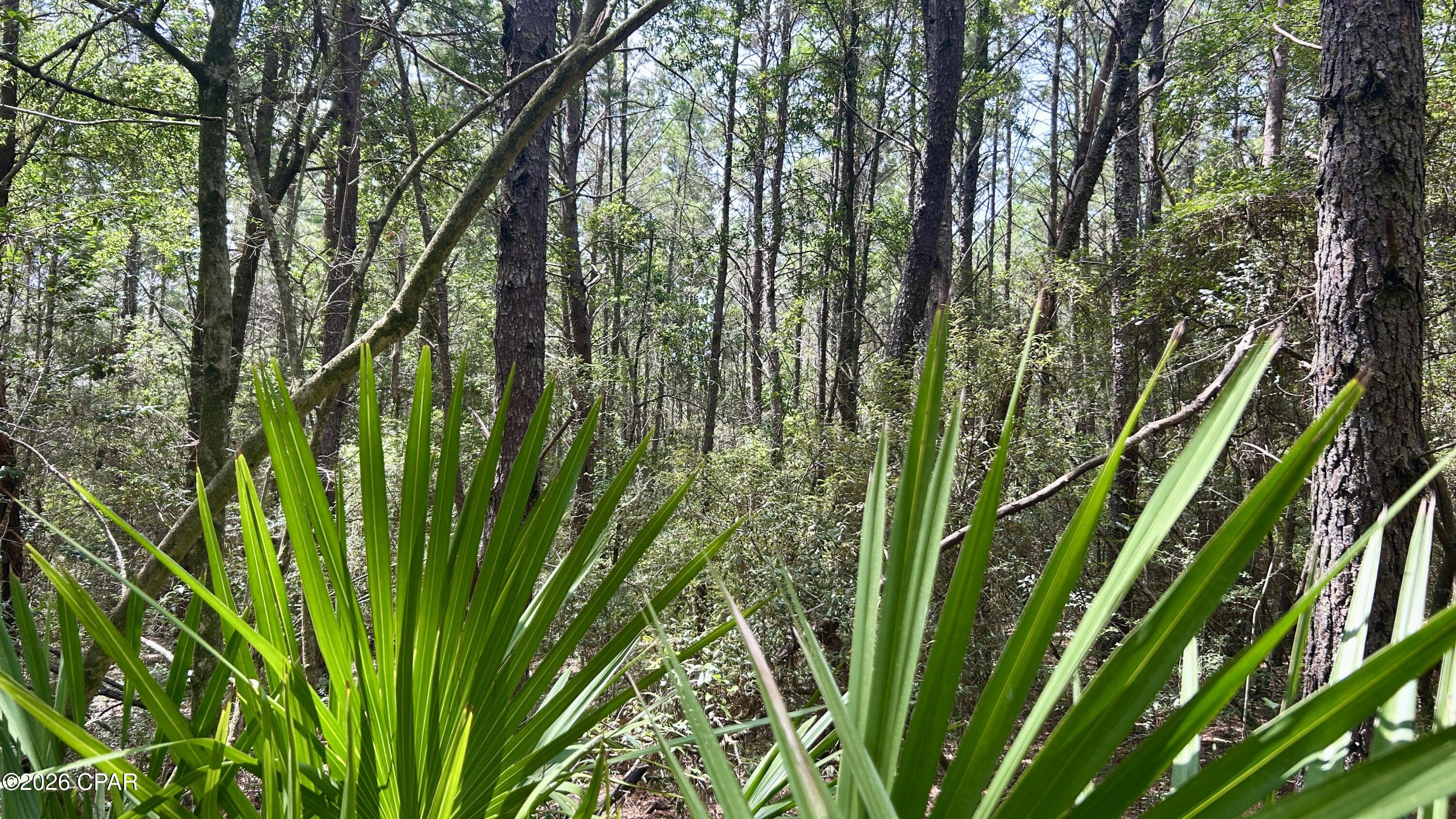 A Trawick Creek Road Holt FL 32564