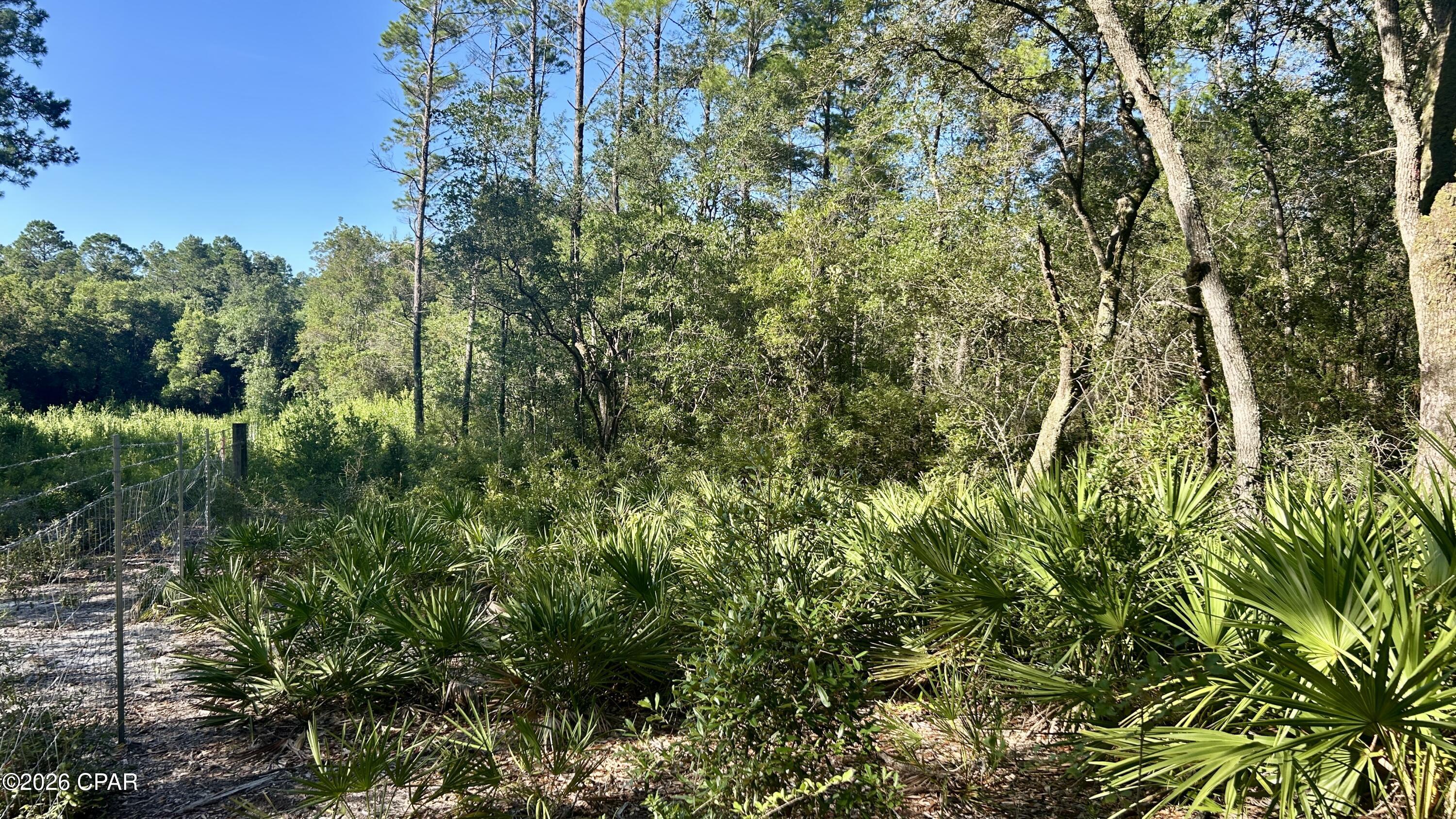 A Trawick Creek Road Holt FL 32564
