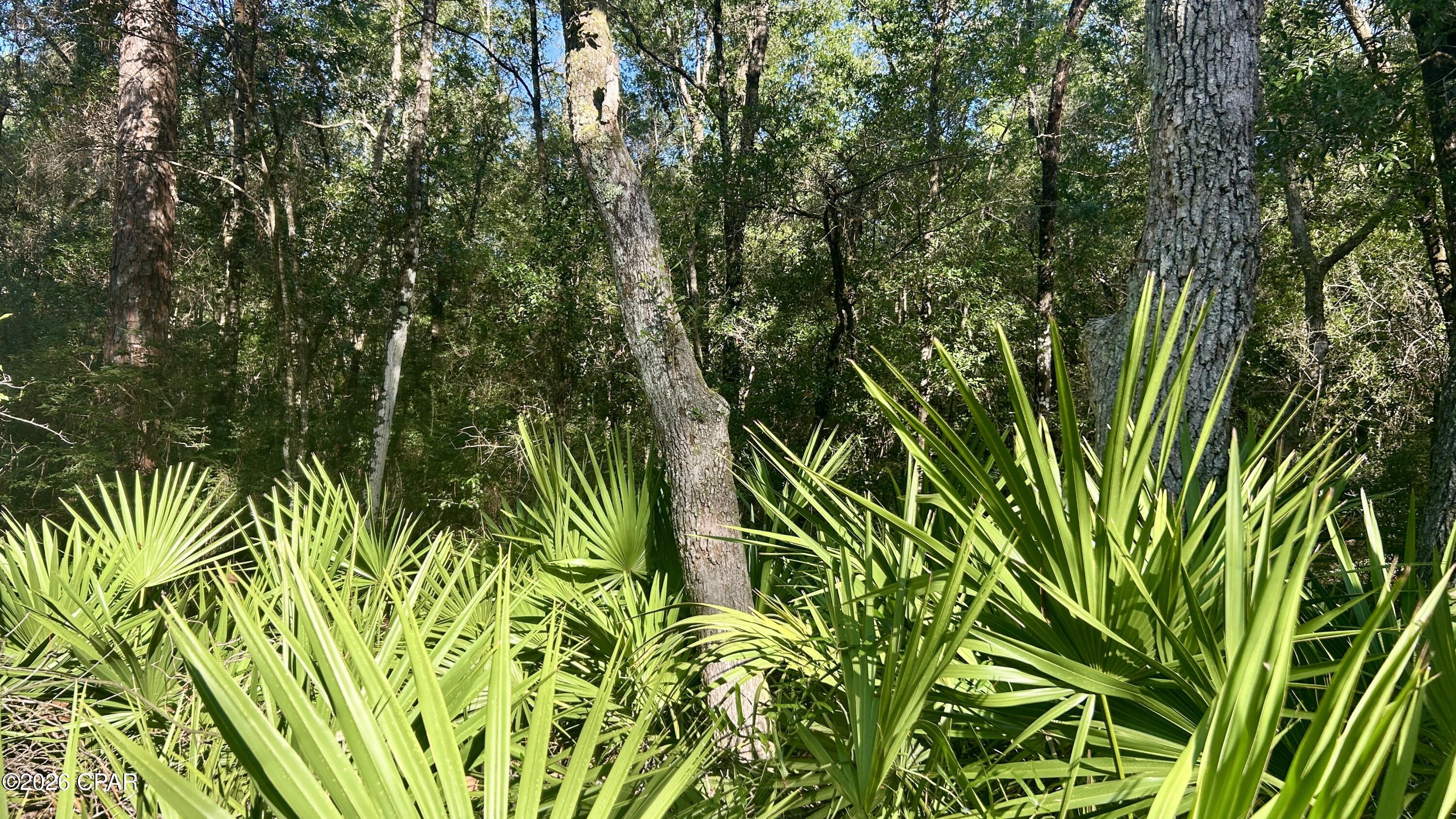 A Trawick Creek Road Holt FL 32564