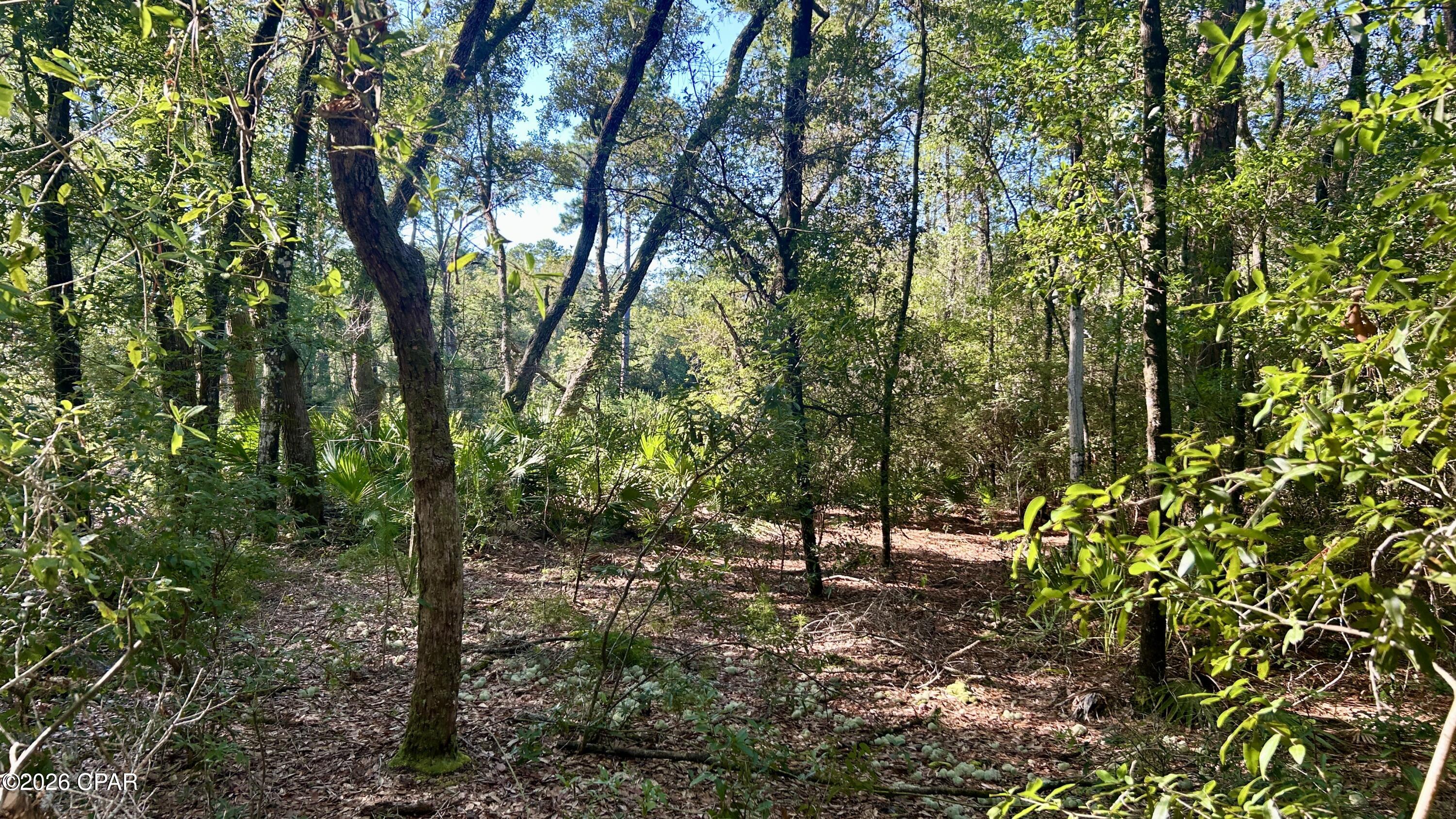 A Trawick Creek Road Holt FL 32564