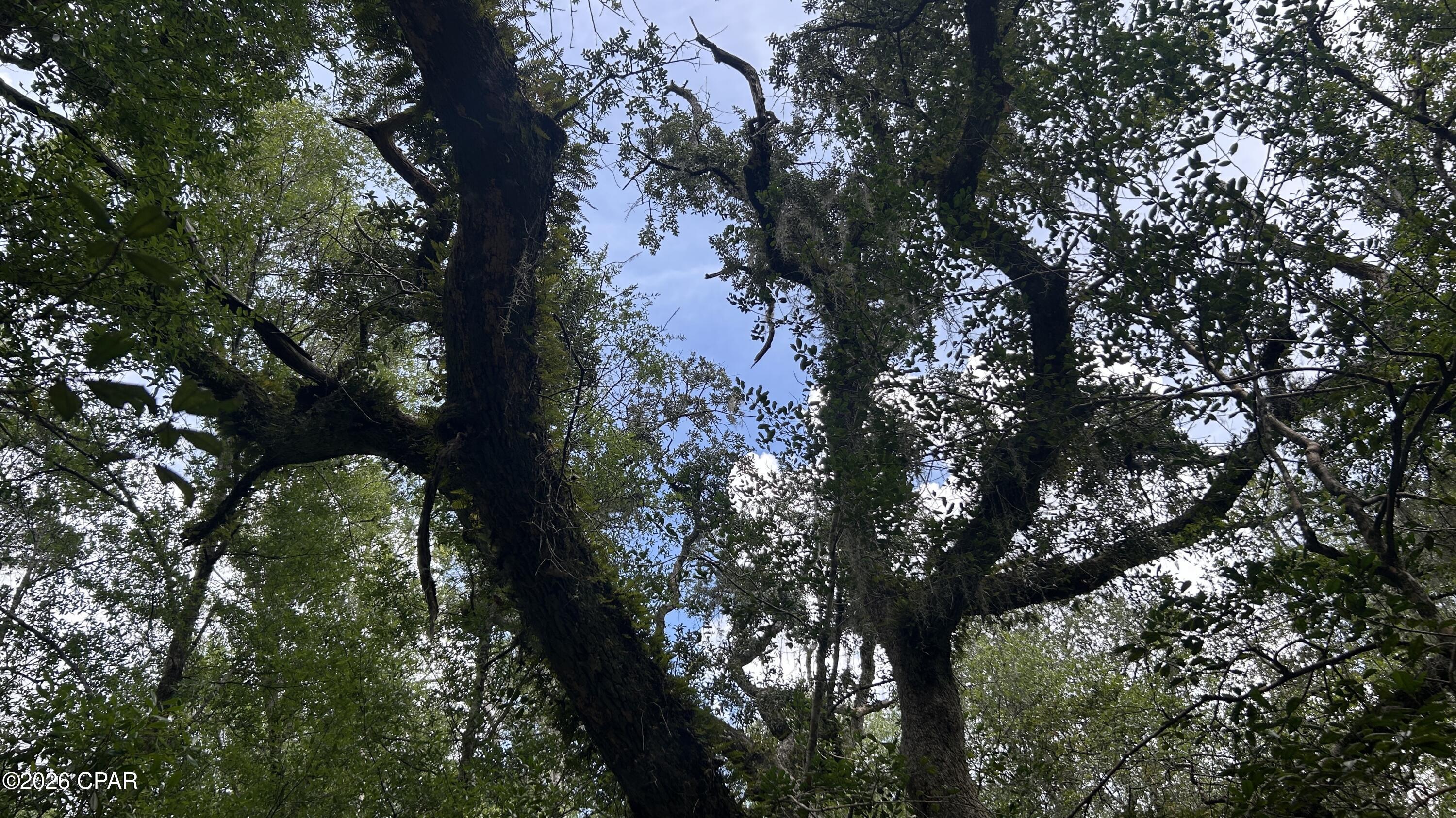 A Trawick Creek Road Holt FL 32564