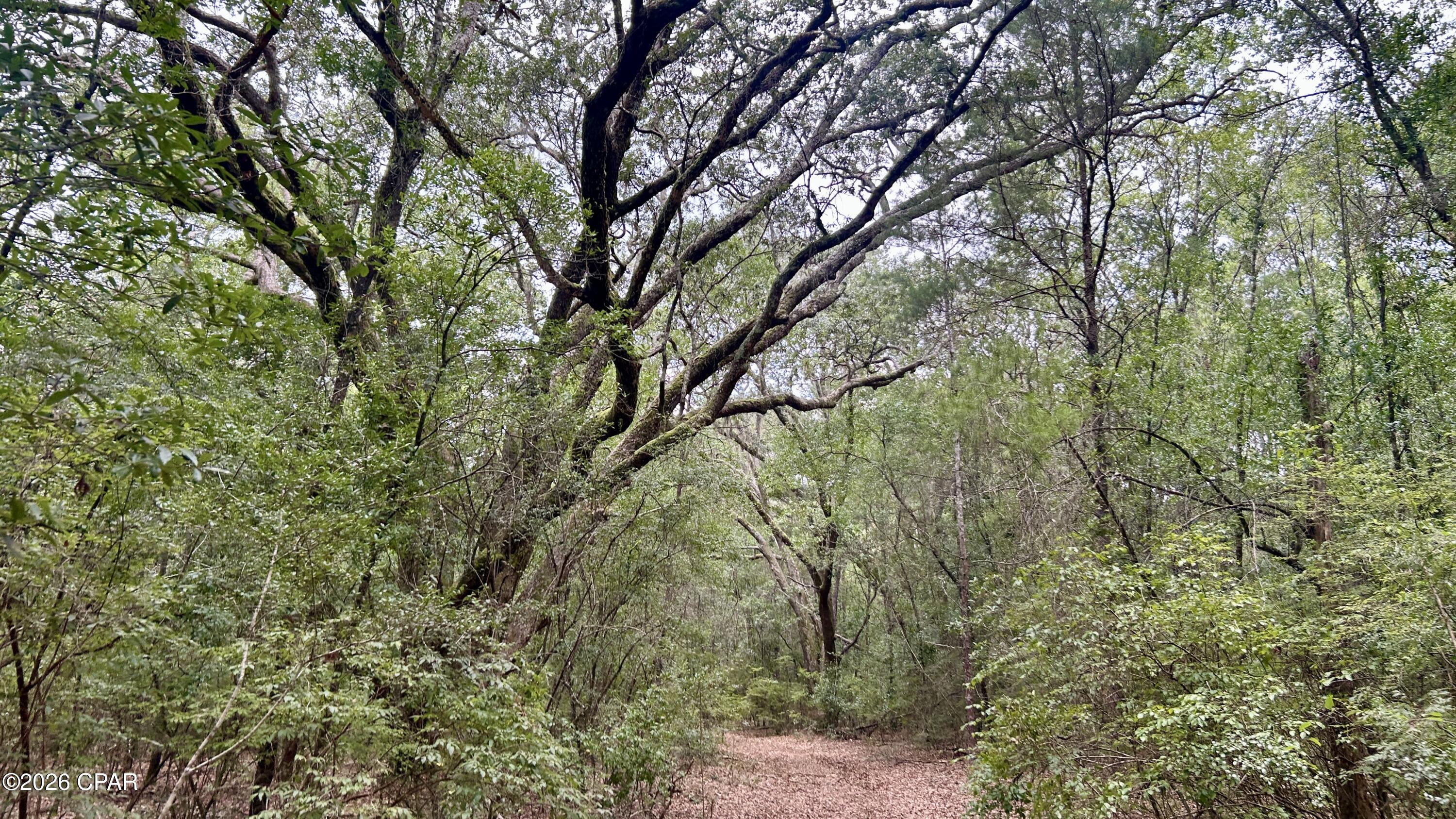 A Trawick Creek Road Holt FL 32564