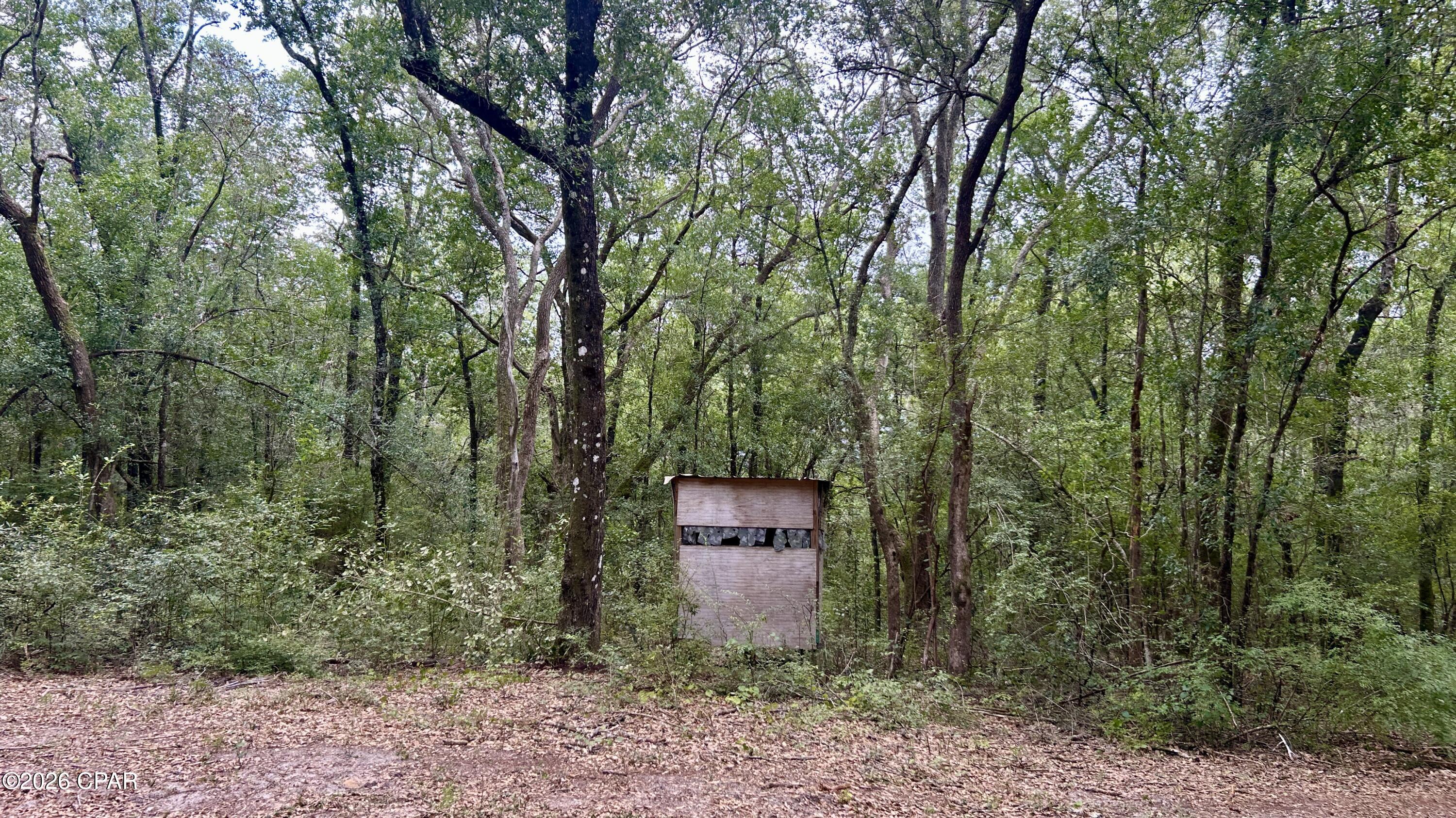 A Trawick Creek Road Holt FL 32564