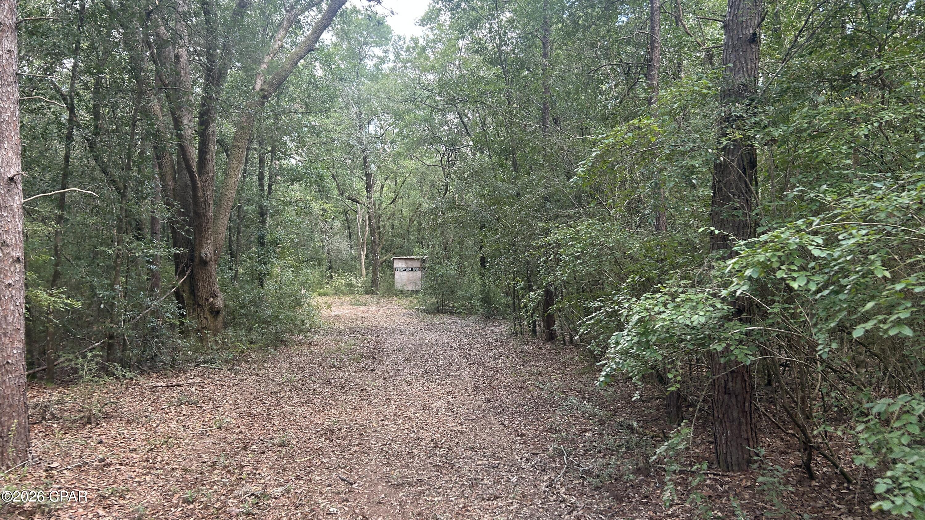 A Trawick Creek Road Holt FL 32564