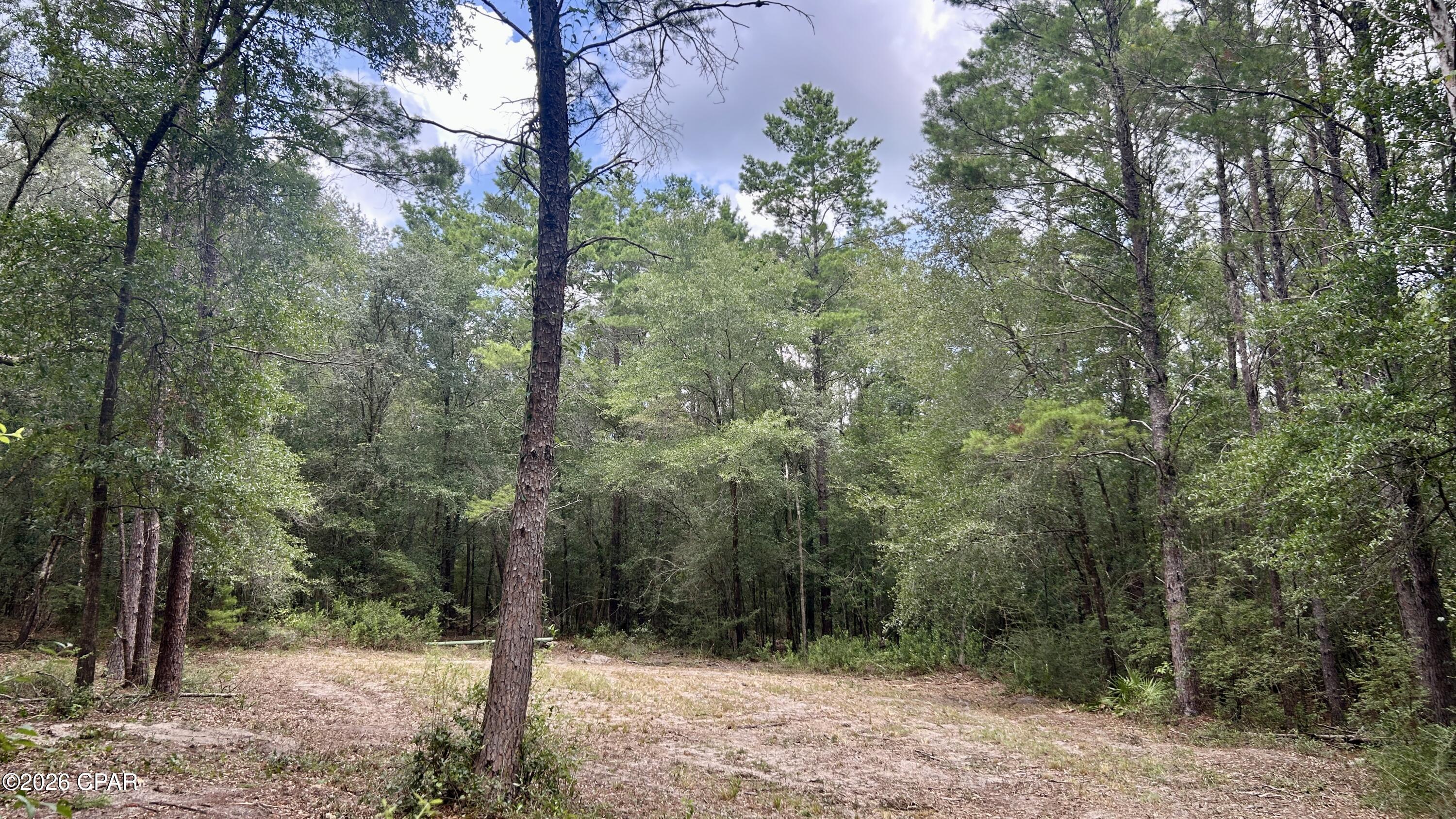 A Trawick Creek Road Holt FL 32564