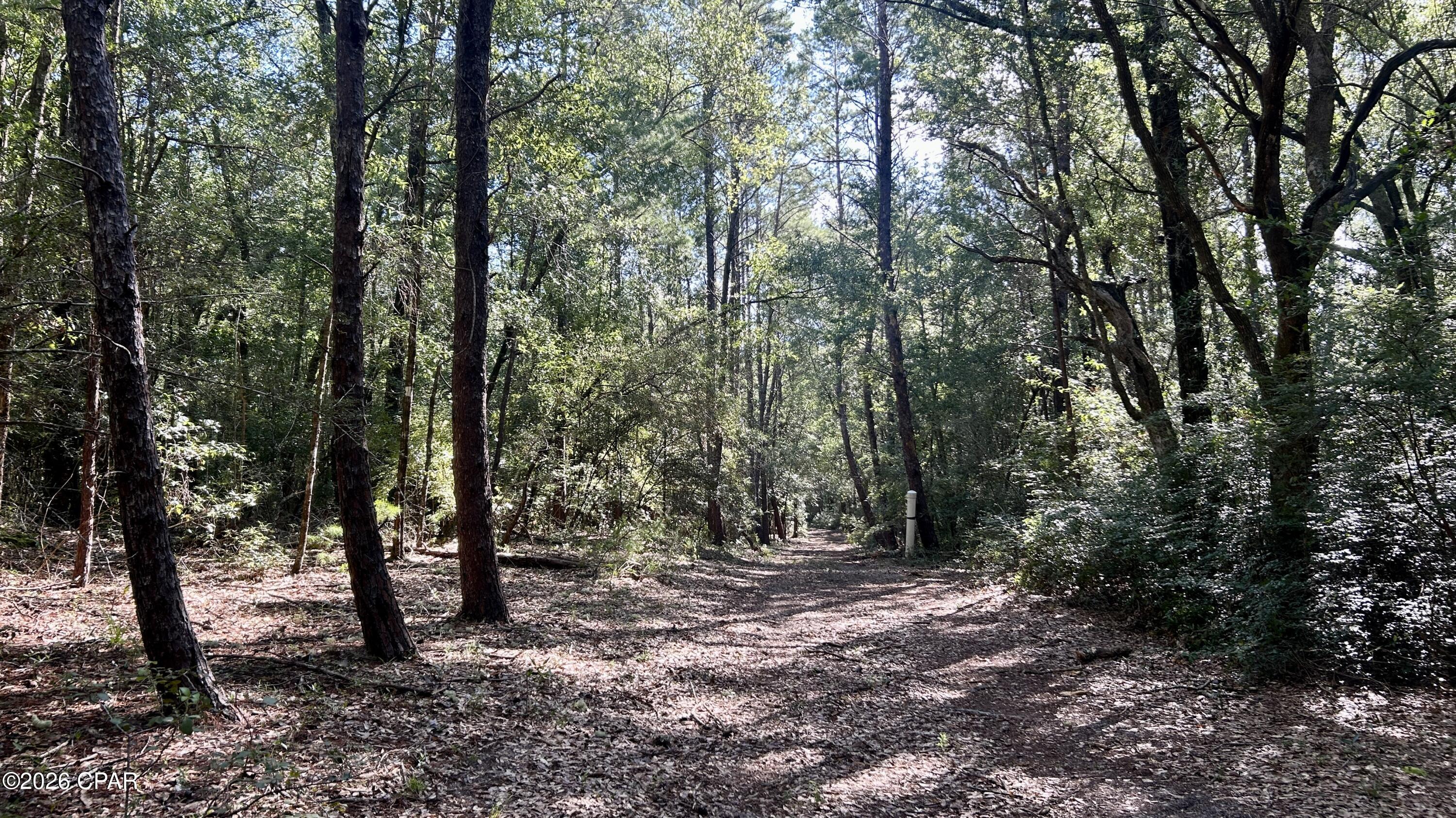 A Trawick Creek Road Holt FL 32564
