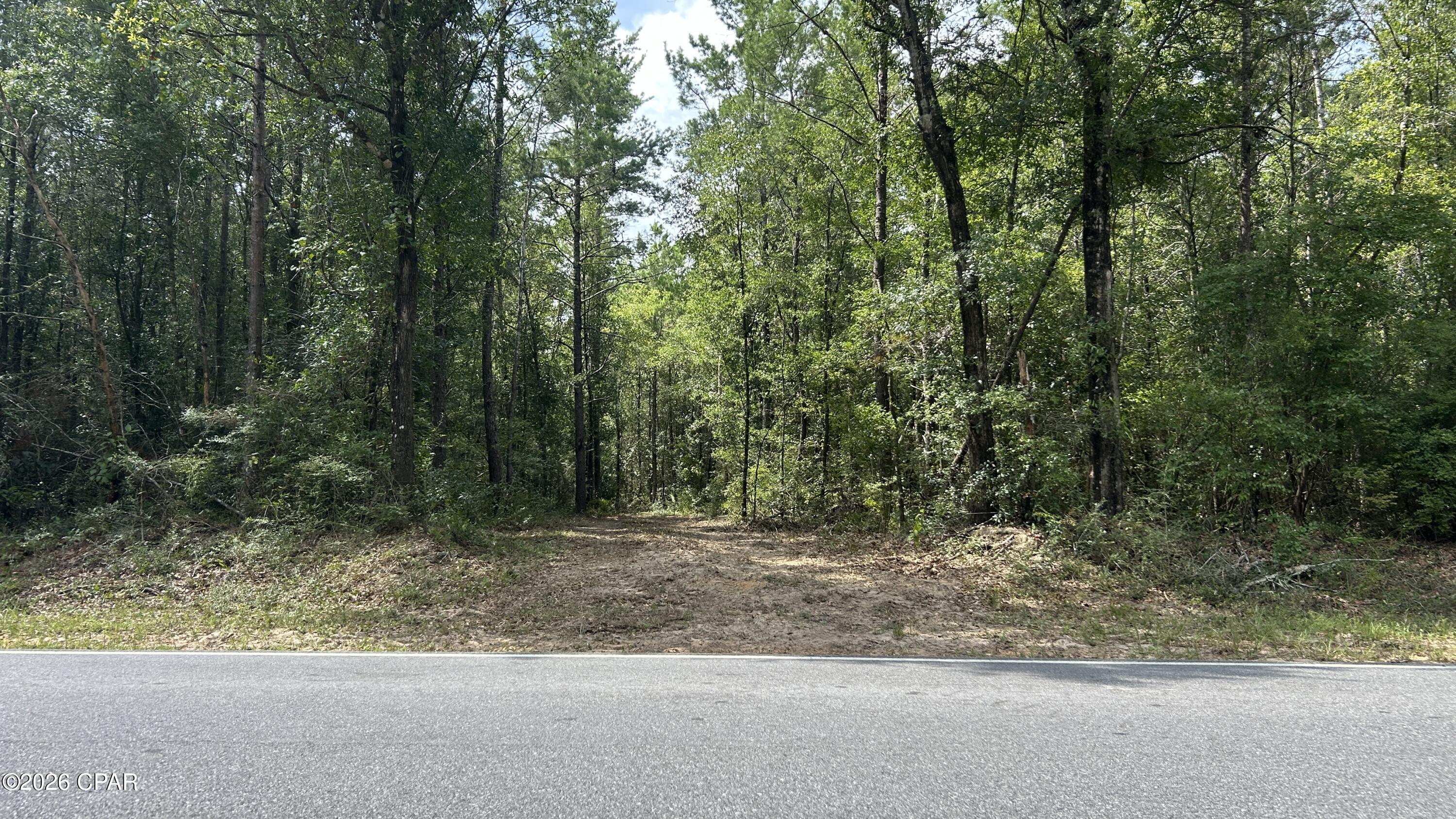 A Trawick Creek Road Holt FL 32564