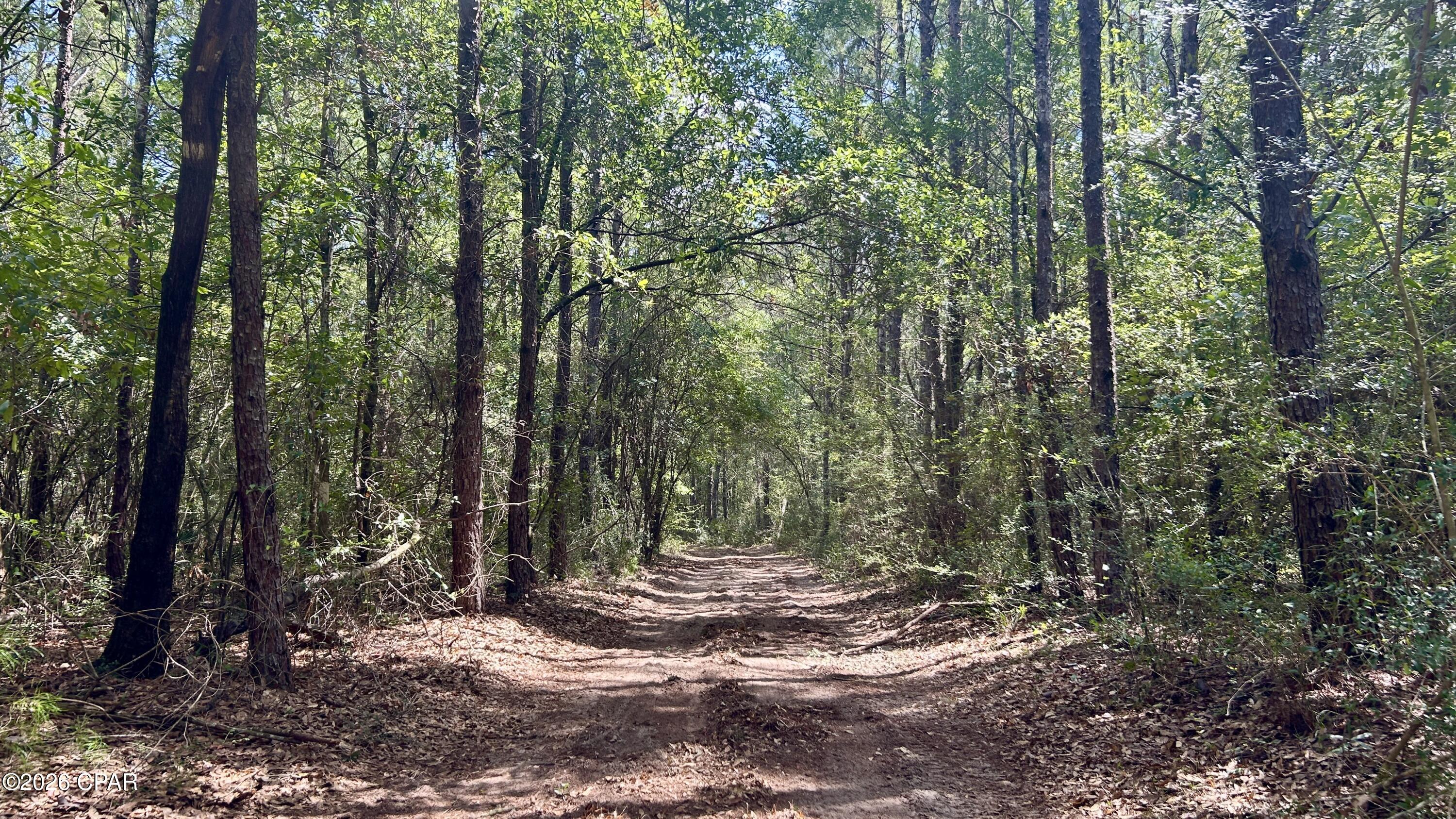 A Trawick Creek Road Holt FL 32564