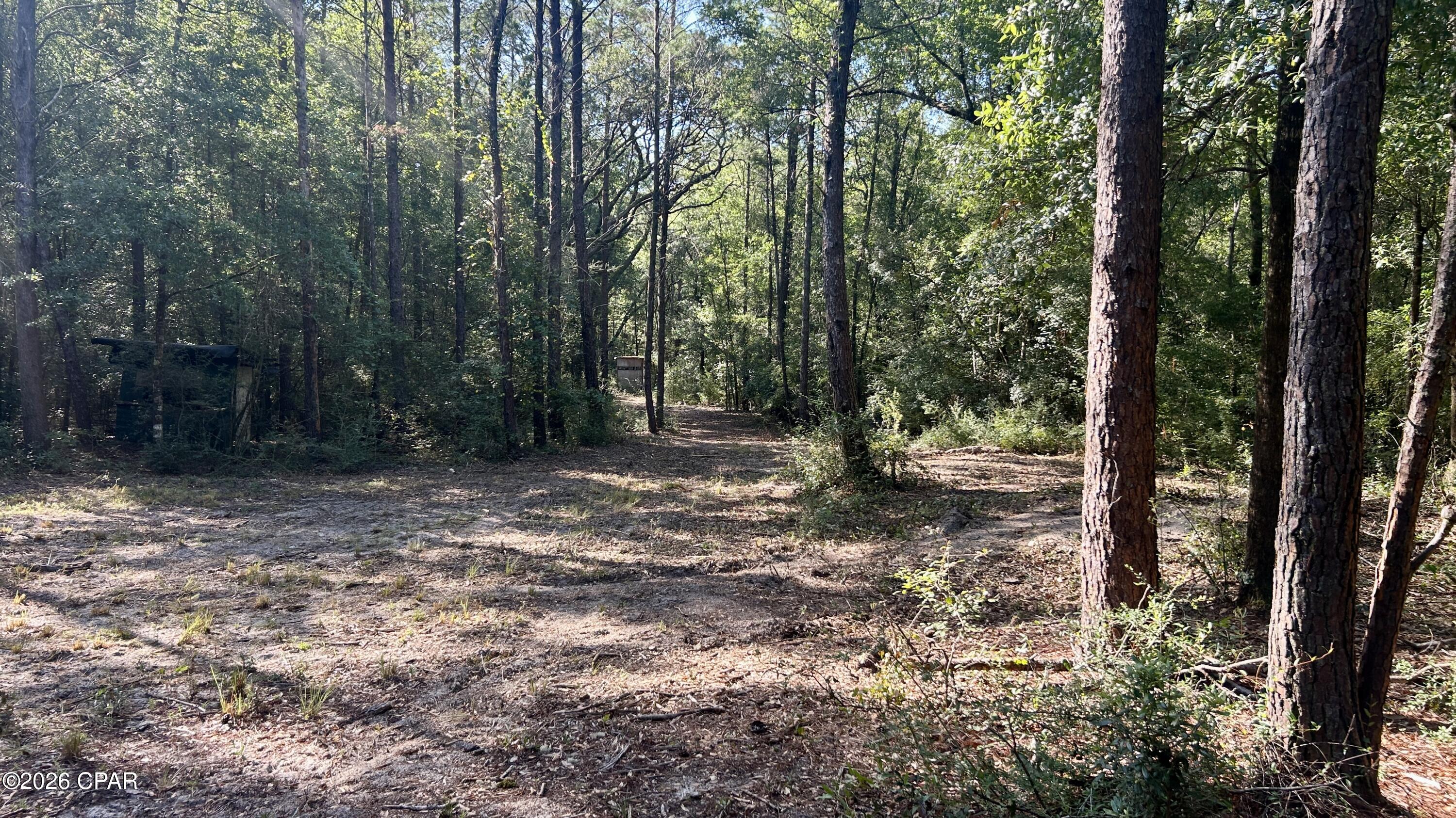 A Trawick Creek Road Holt FL 32564