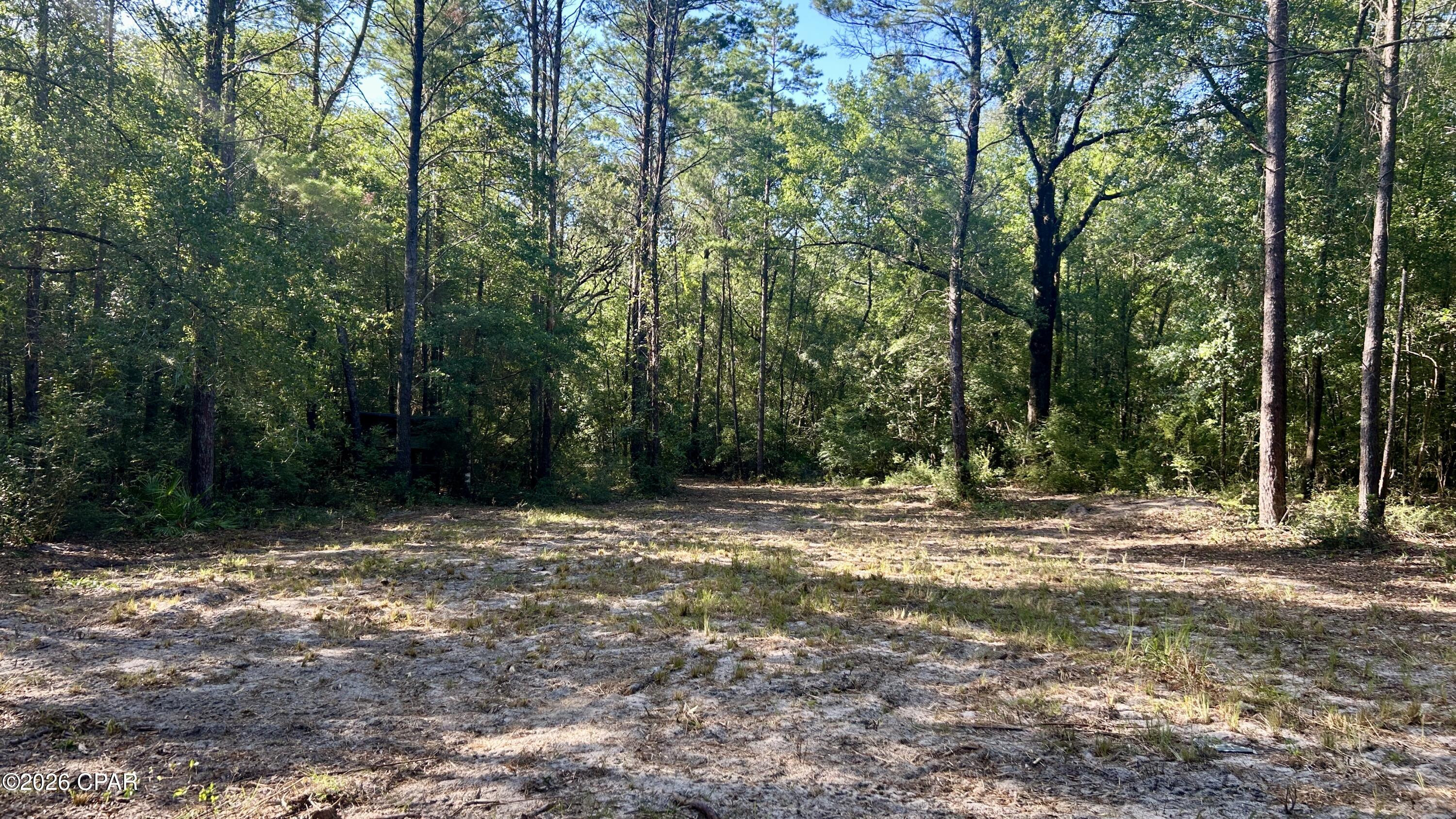 A Trawick Creek Road Holt FL 32564