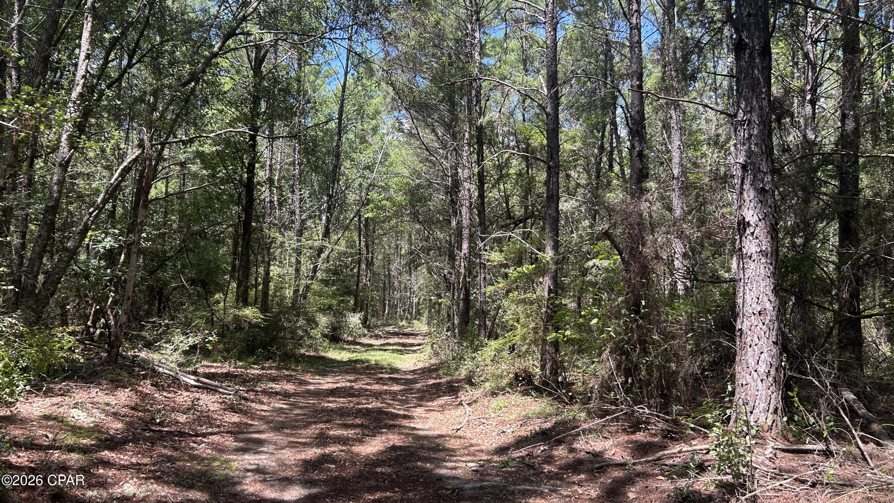 A Trawick Creek Road Holt FL 32564