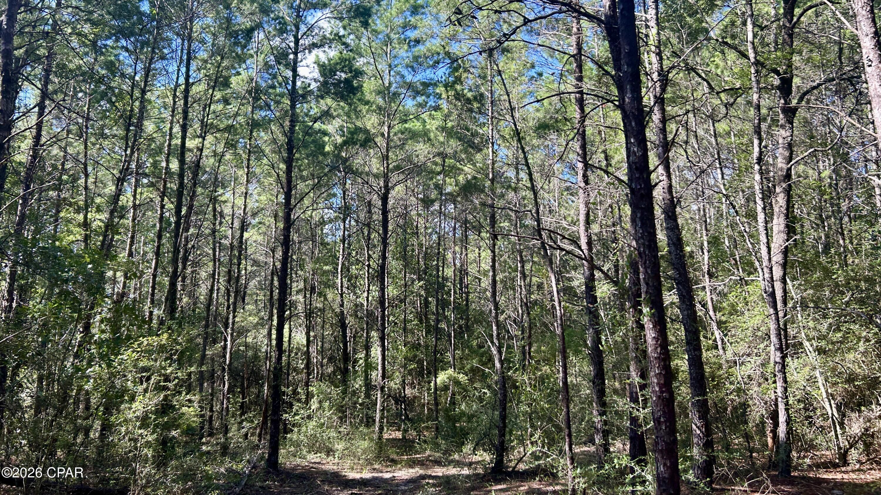 A Trawick Creek Road Holt FL 32564