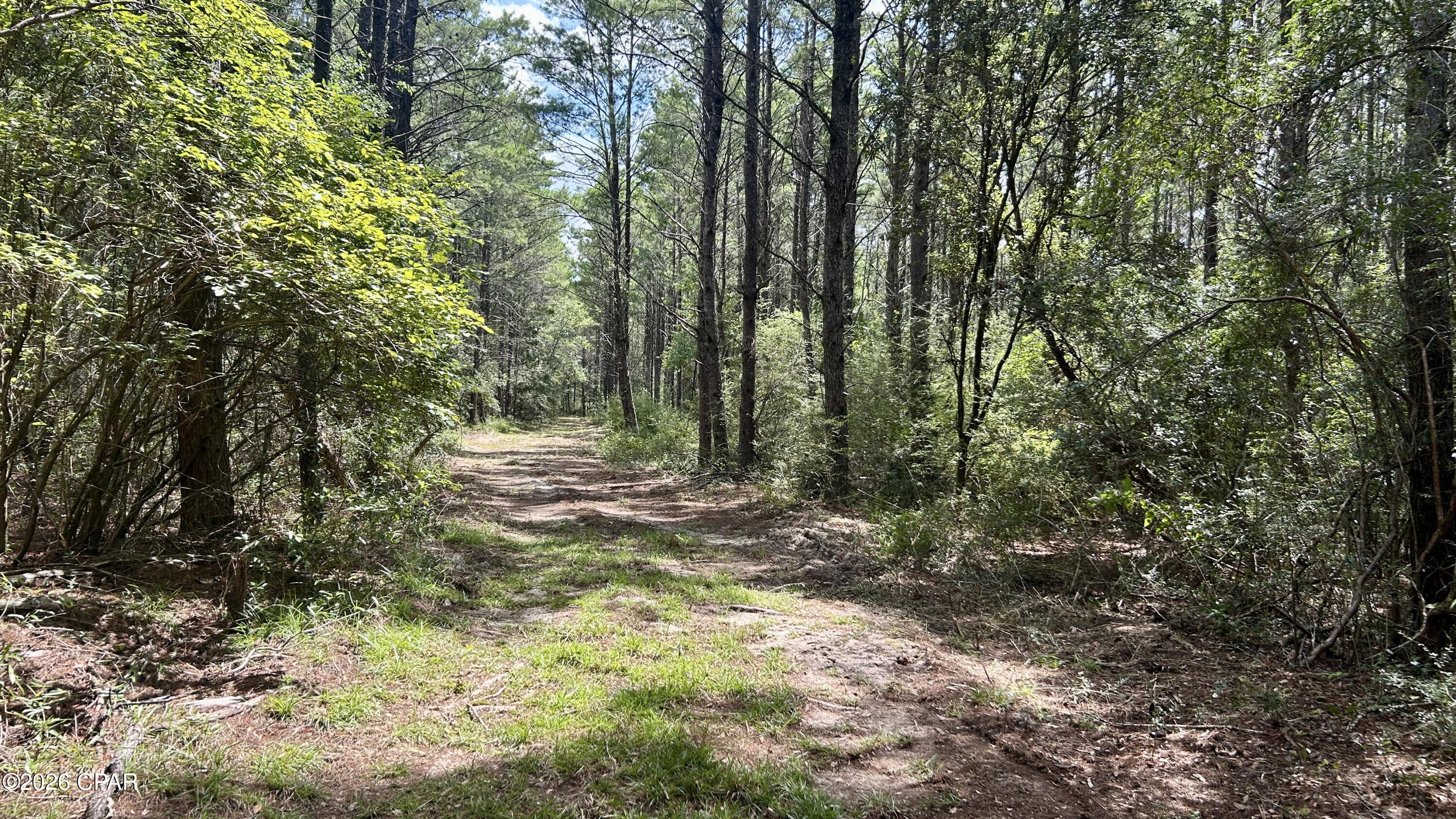 A Trawick Creek Road Holt FL 32564