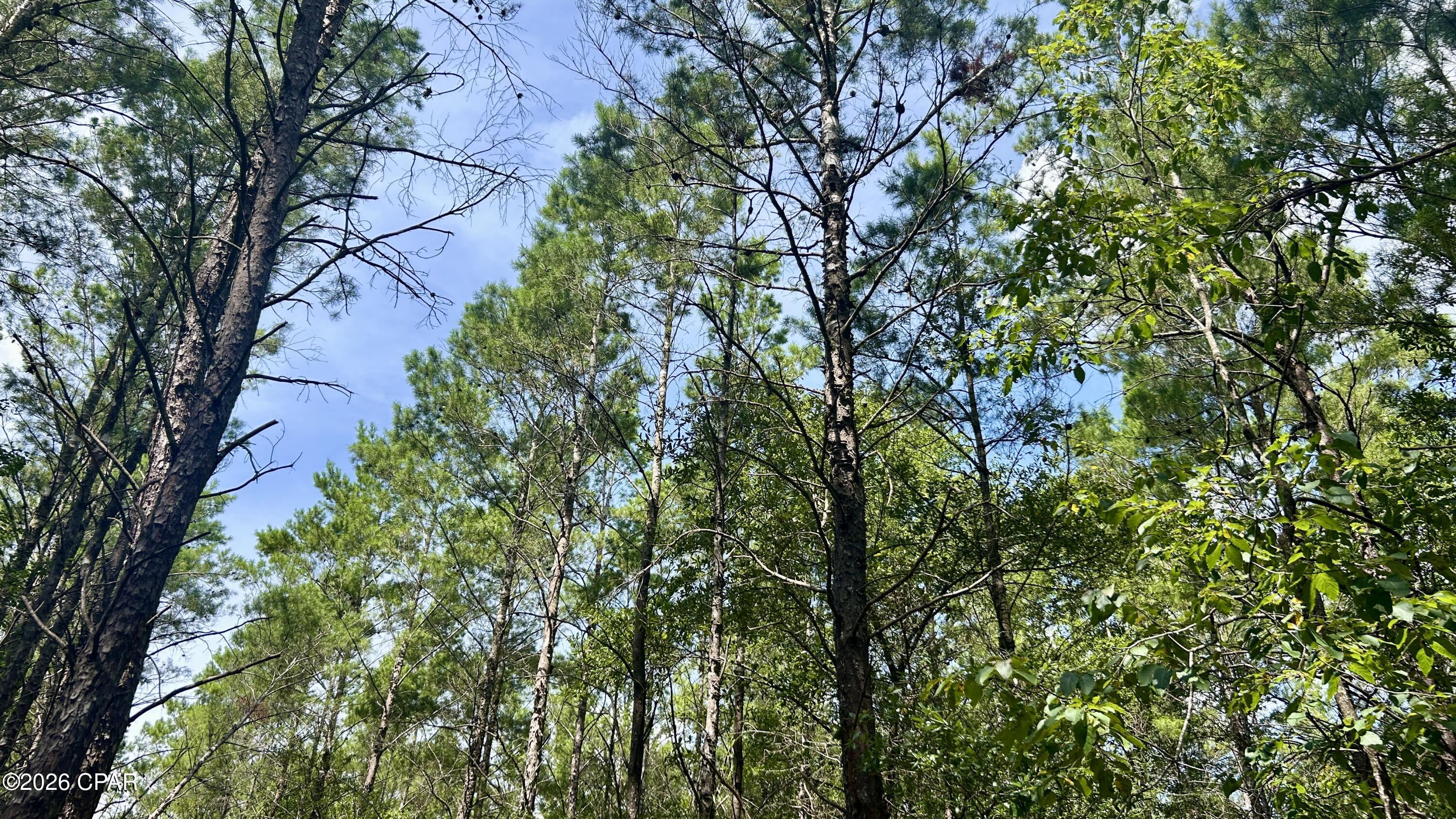 A Trawick Creek Road Holt FL 32564