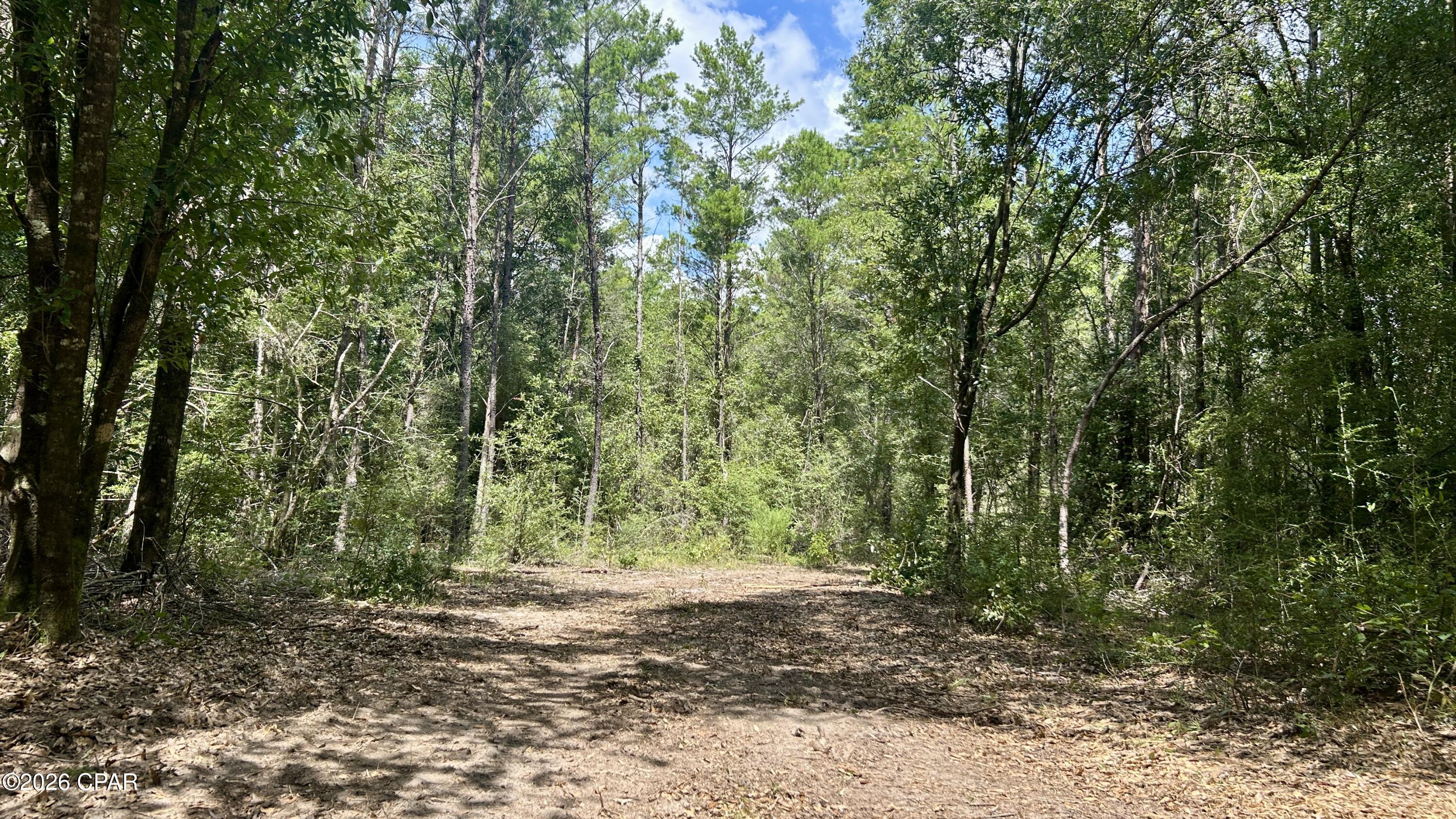 A Trawick Creek Road Holt FL 32564