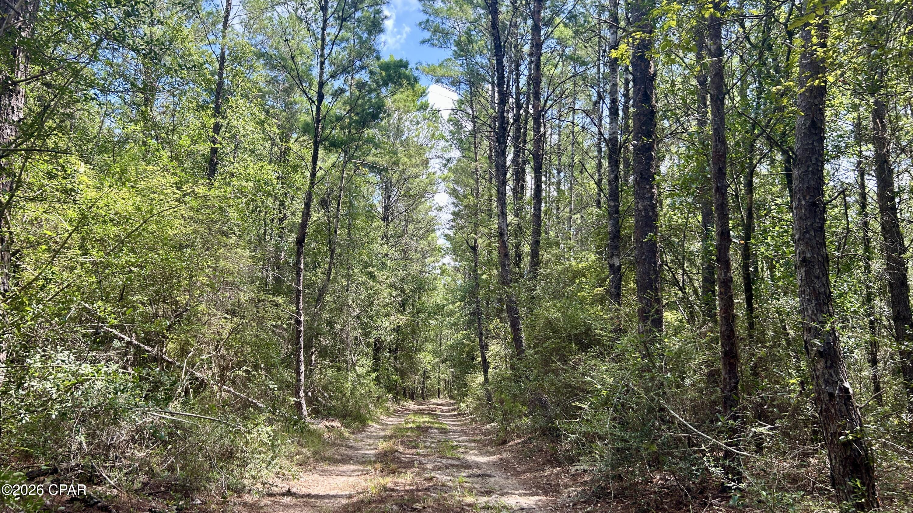 A Trawick Creek Road Holt FL 32564