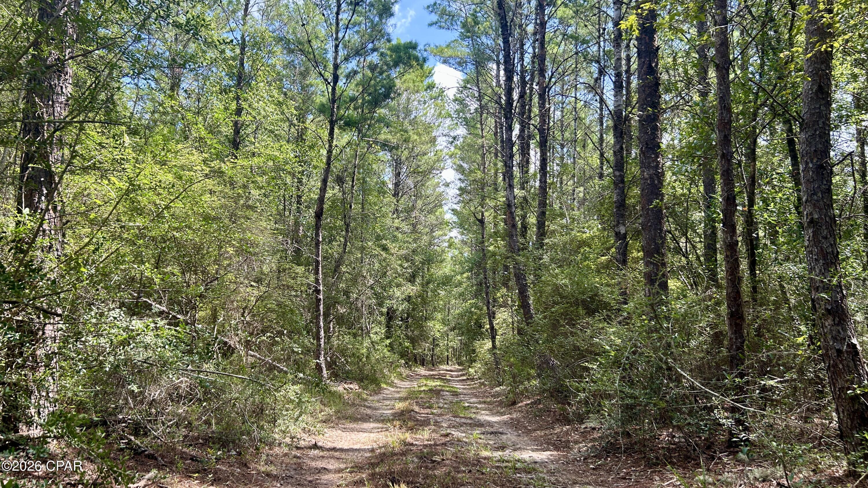 A Trawick Creek Road Holt FL 32564