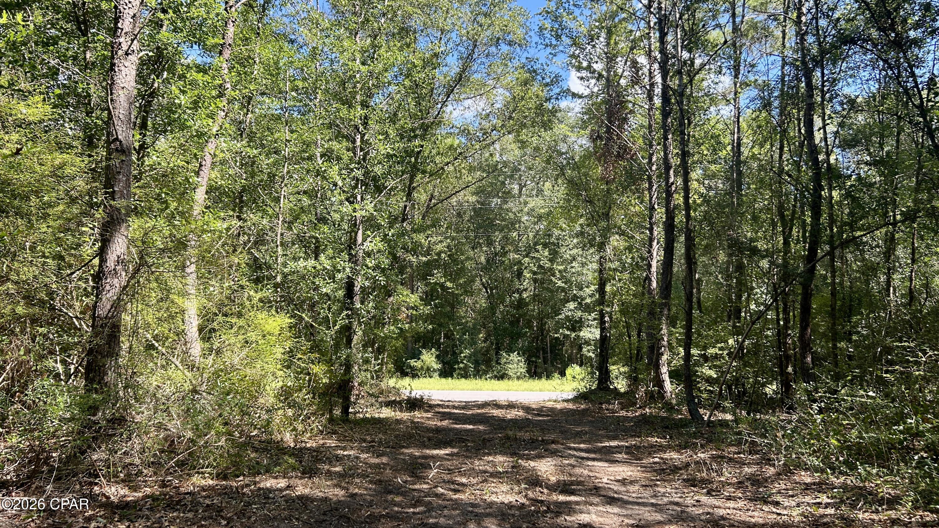 A Trawick Creek Road Holt FL 32564
