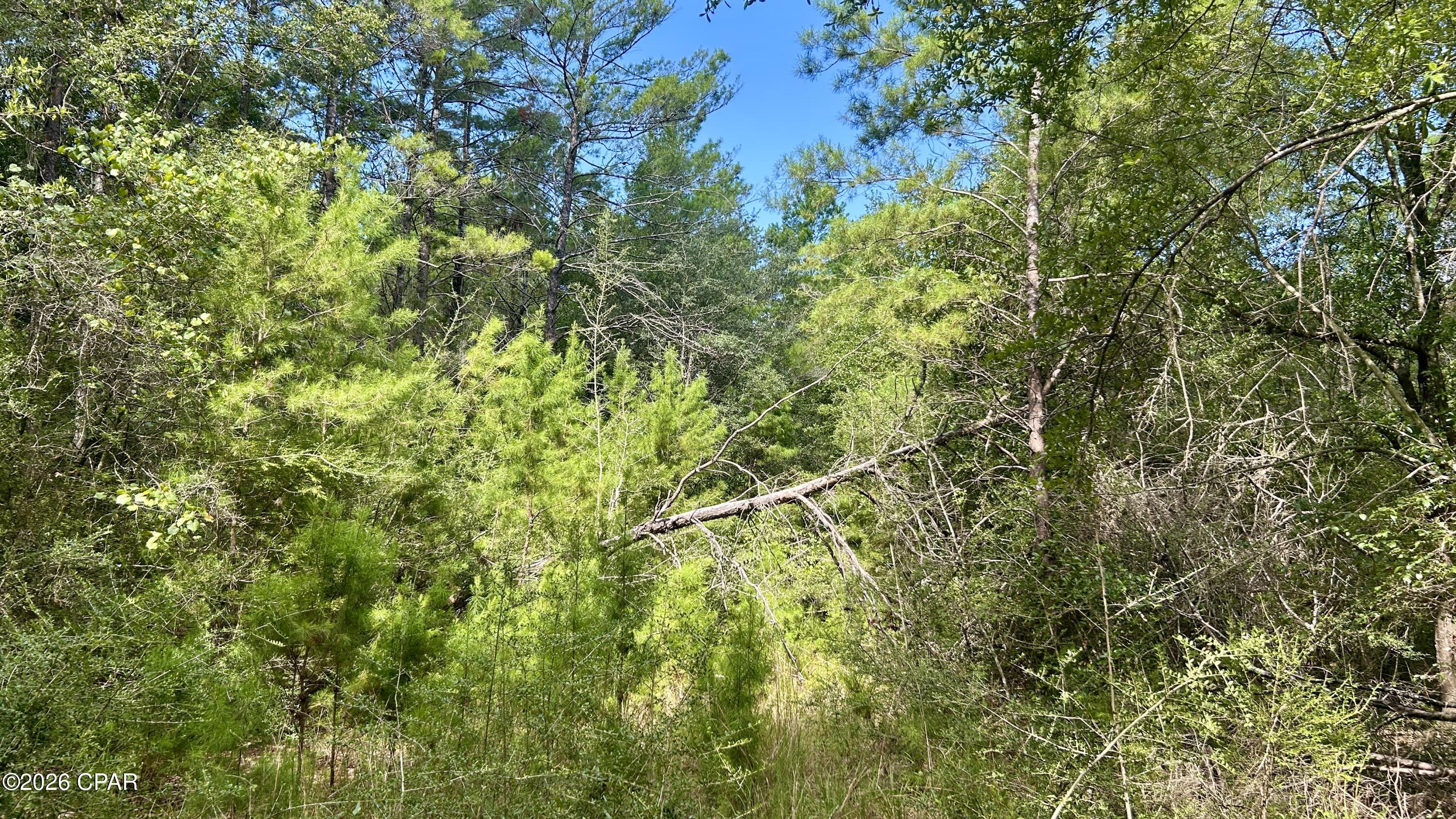 A Trawick Creek Road Holt FL 32564