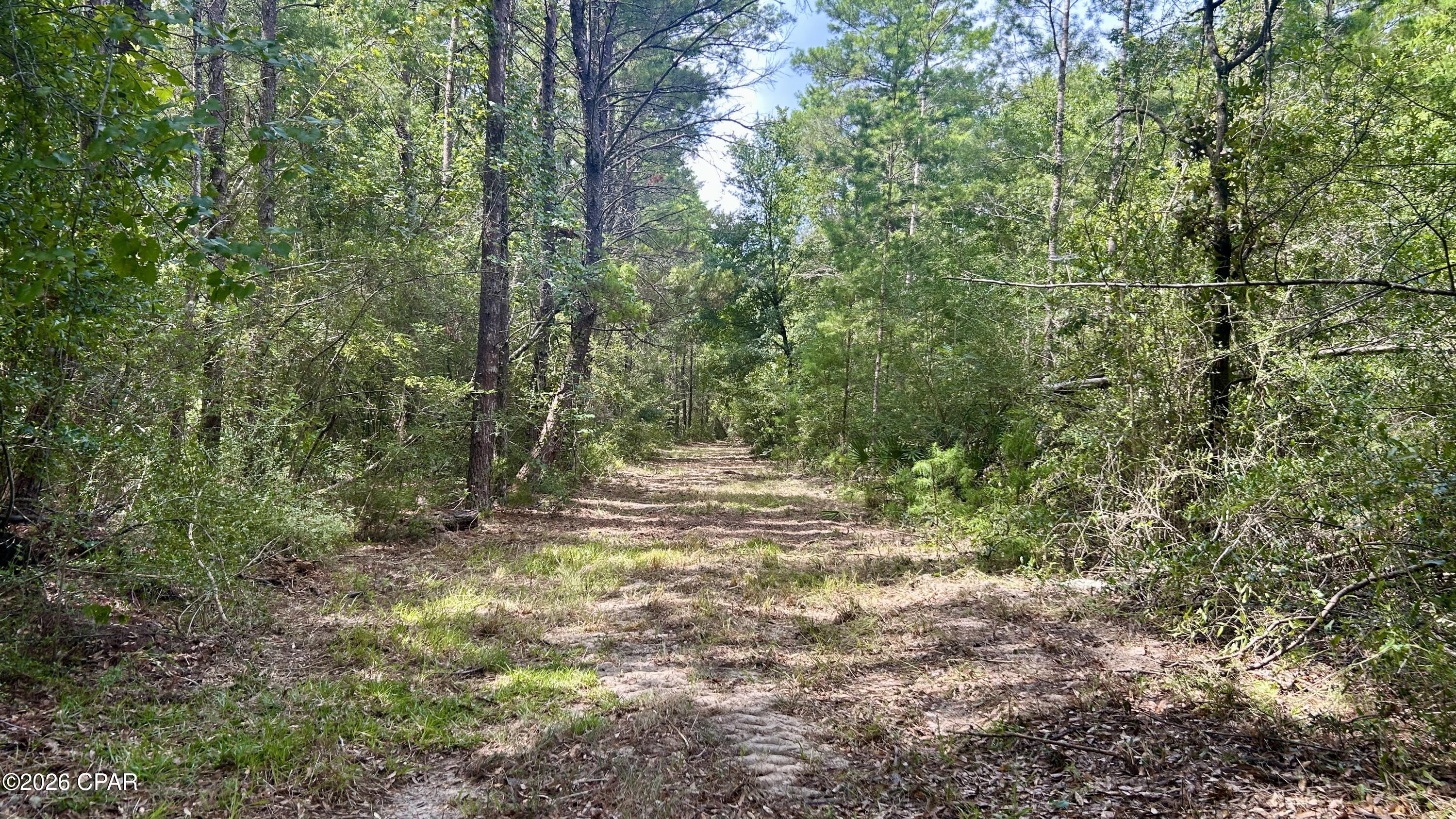 A Trawick Creek Road Holt FL 32564