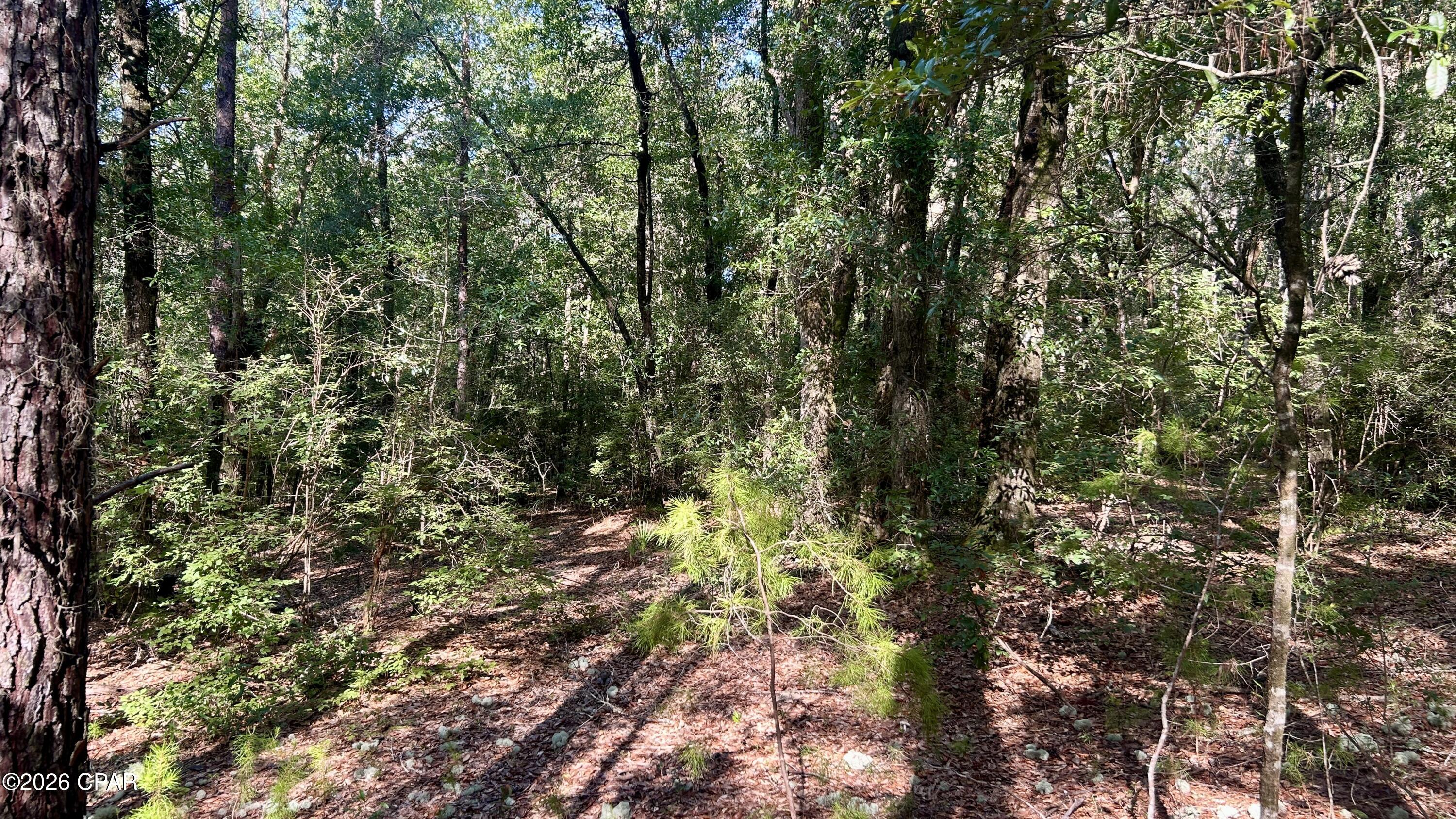 A Trawick Creek Road Holt FL 32564