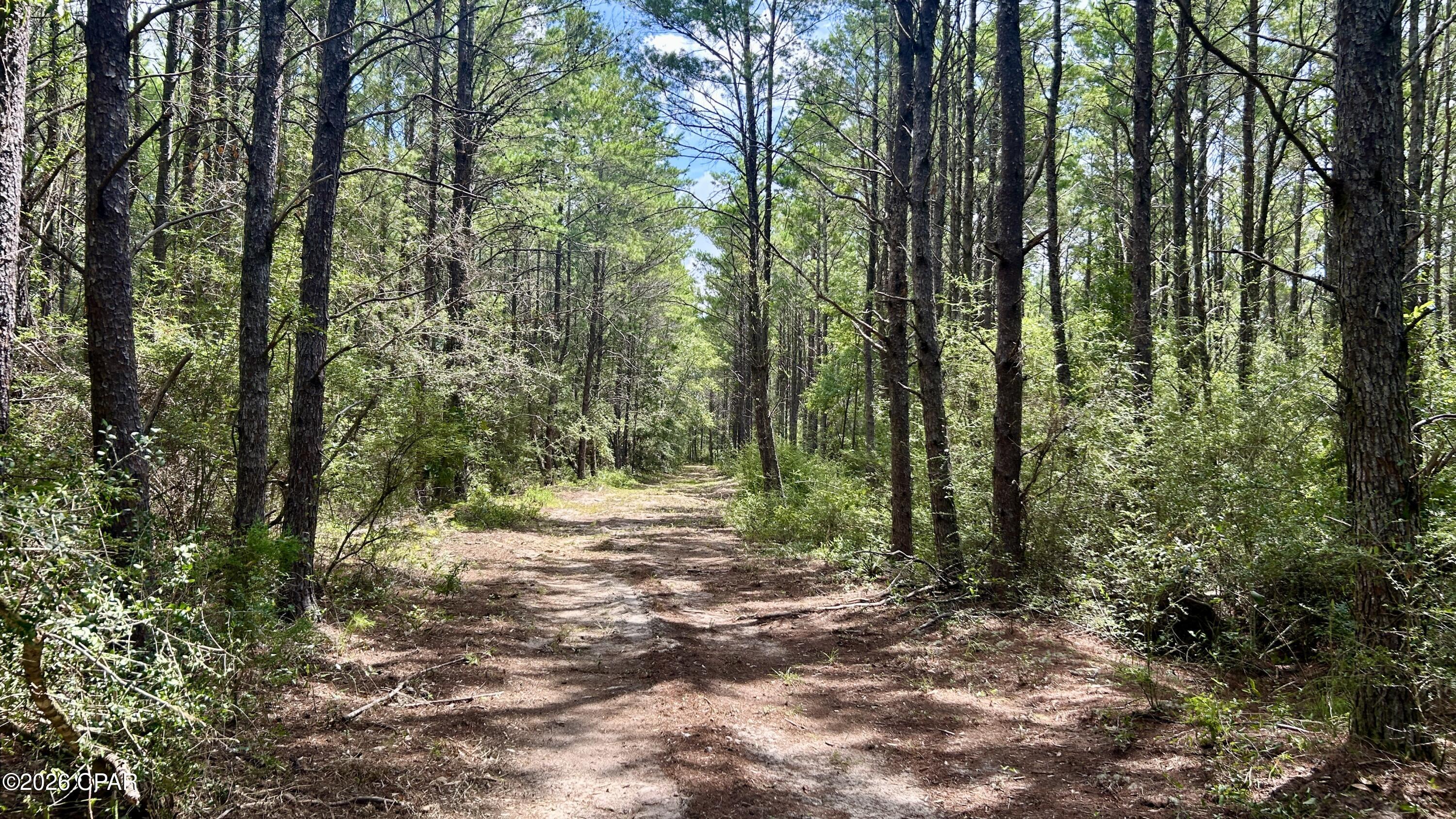 A Trawick Creek Road Holt FL 32564